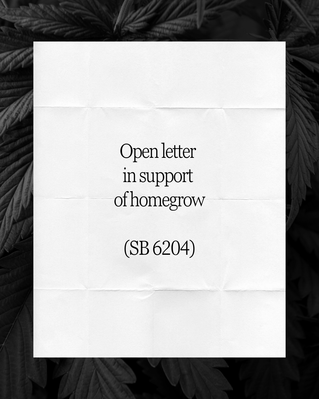 SB 6204 Call for Support 