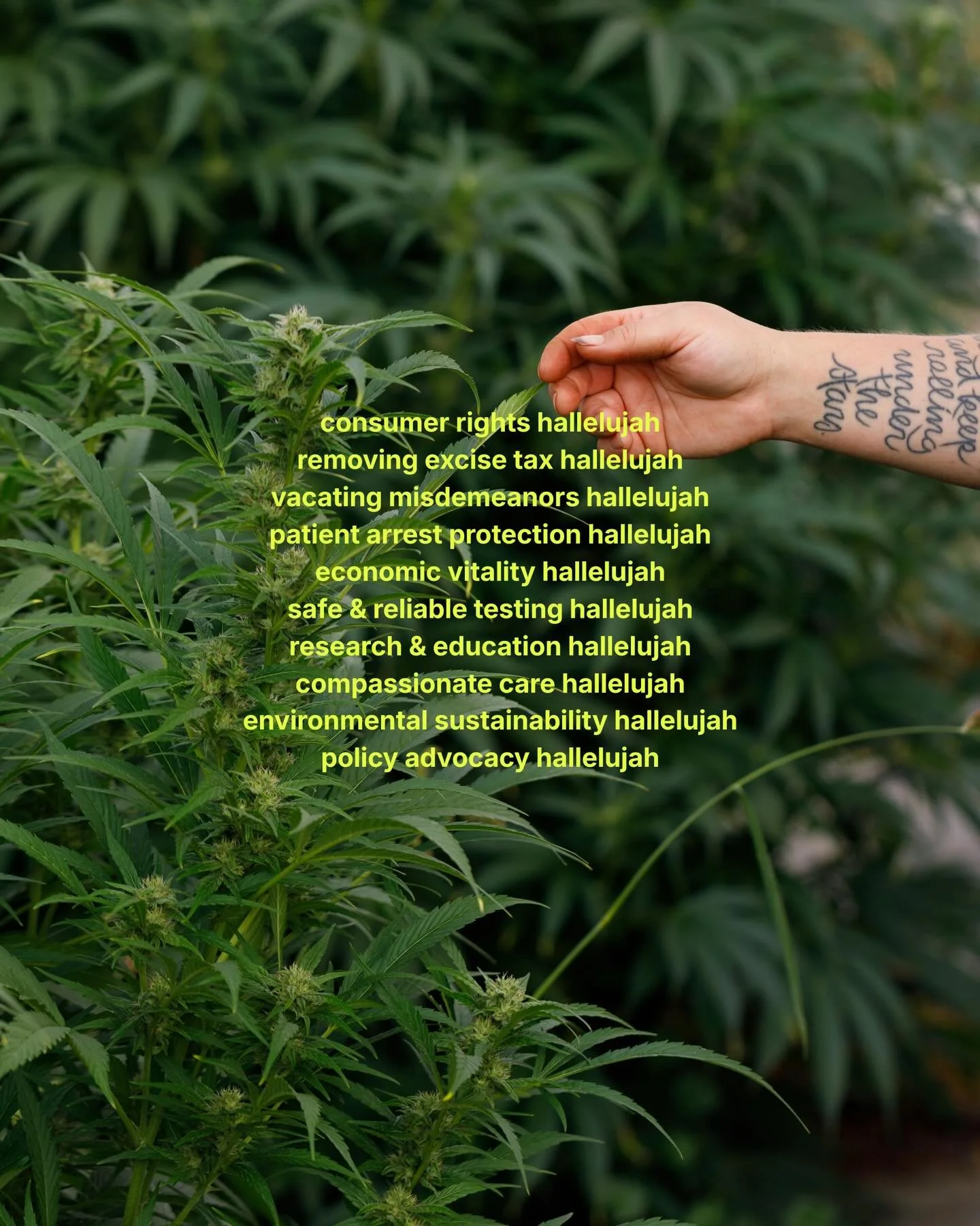 EVERYTHING HALLELUJAH ✨🍃