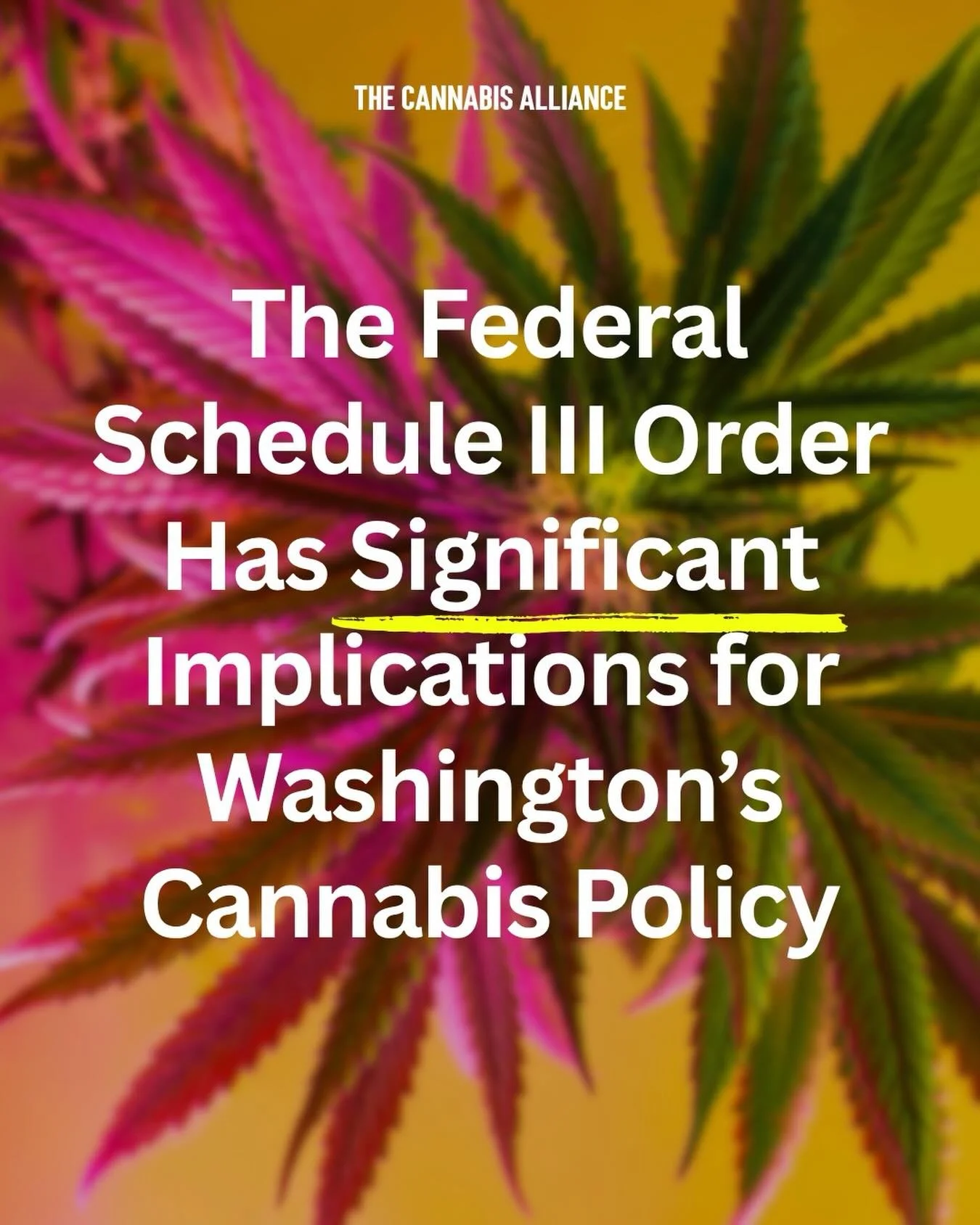 The DOJ&rsquo;s Schedule III order is a big deal, but for Washington, there are no simple answers. 🌿

On April 23, the federal government moved medical cannabis from Schedule I to Schedule III, potentially unlocking 280E tax relief and expanded rese
