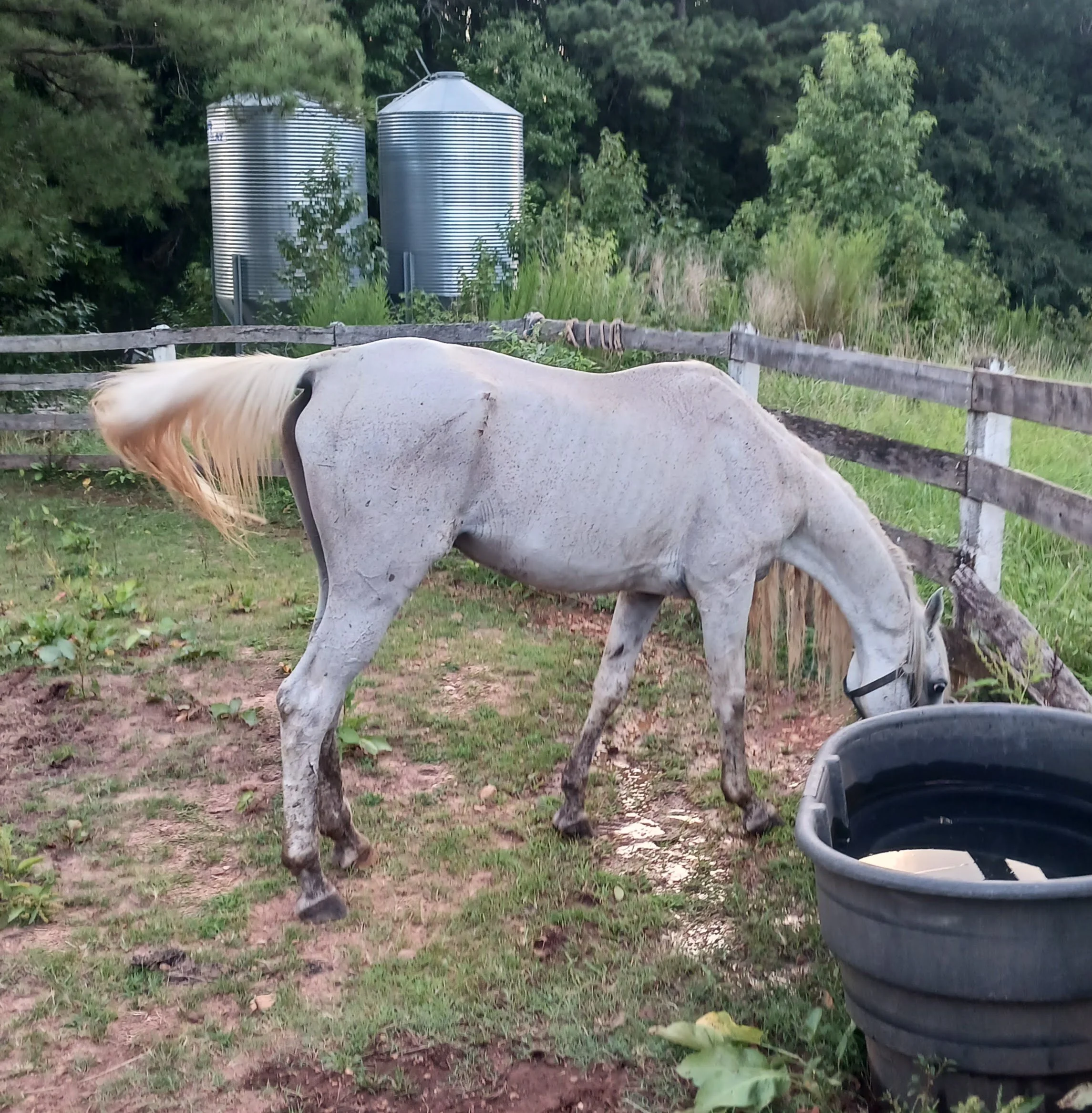 Chapter 5: A Change of Direction