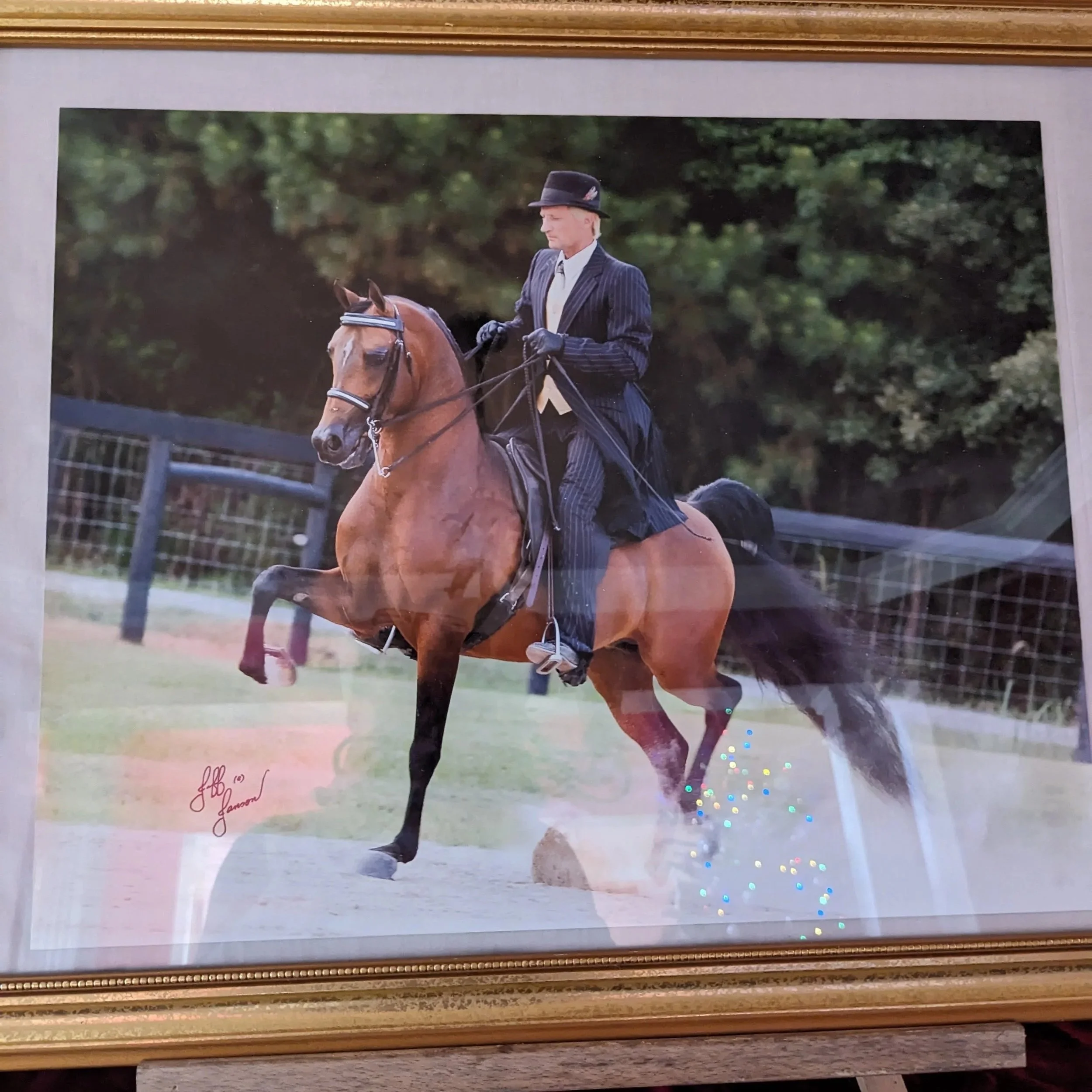 Chapter 6: Damage Control