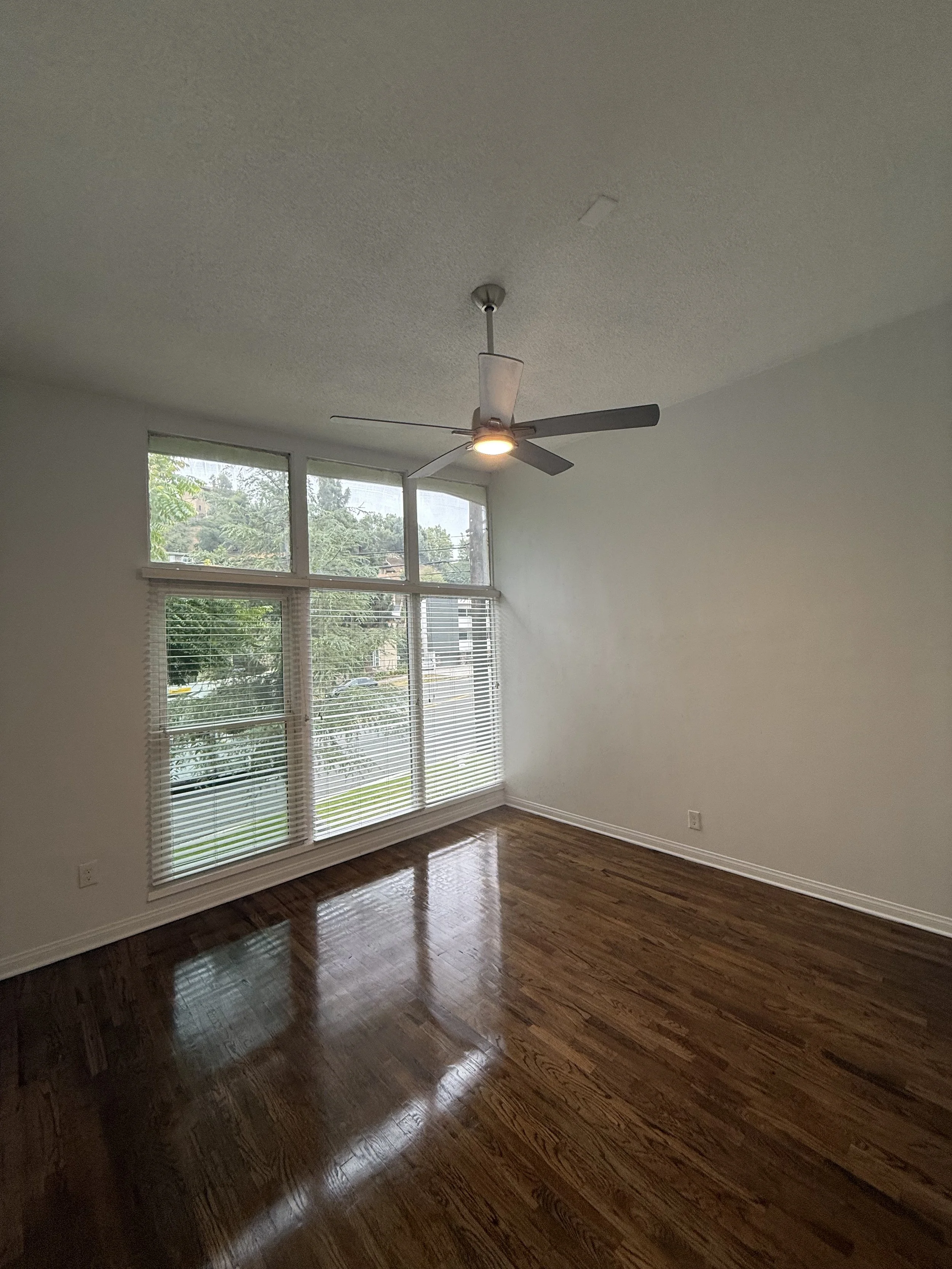 IMG_8333.jpeg