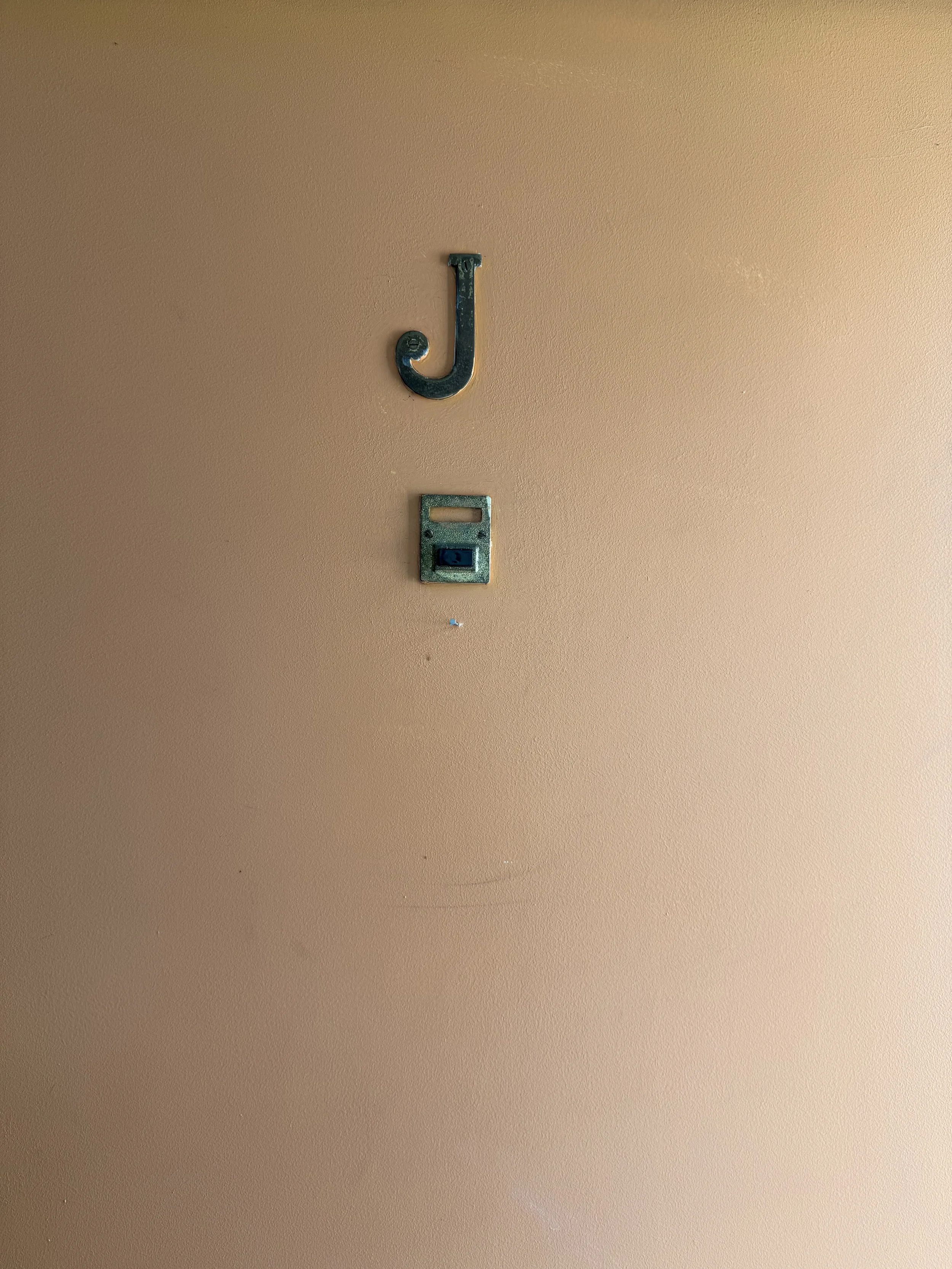 IMG_8795.jpeg