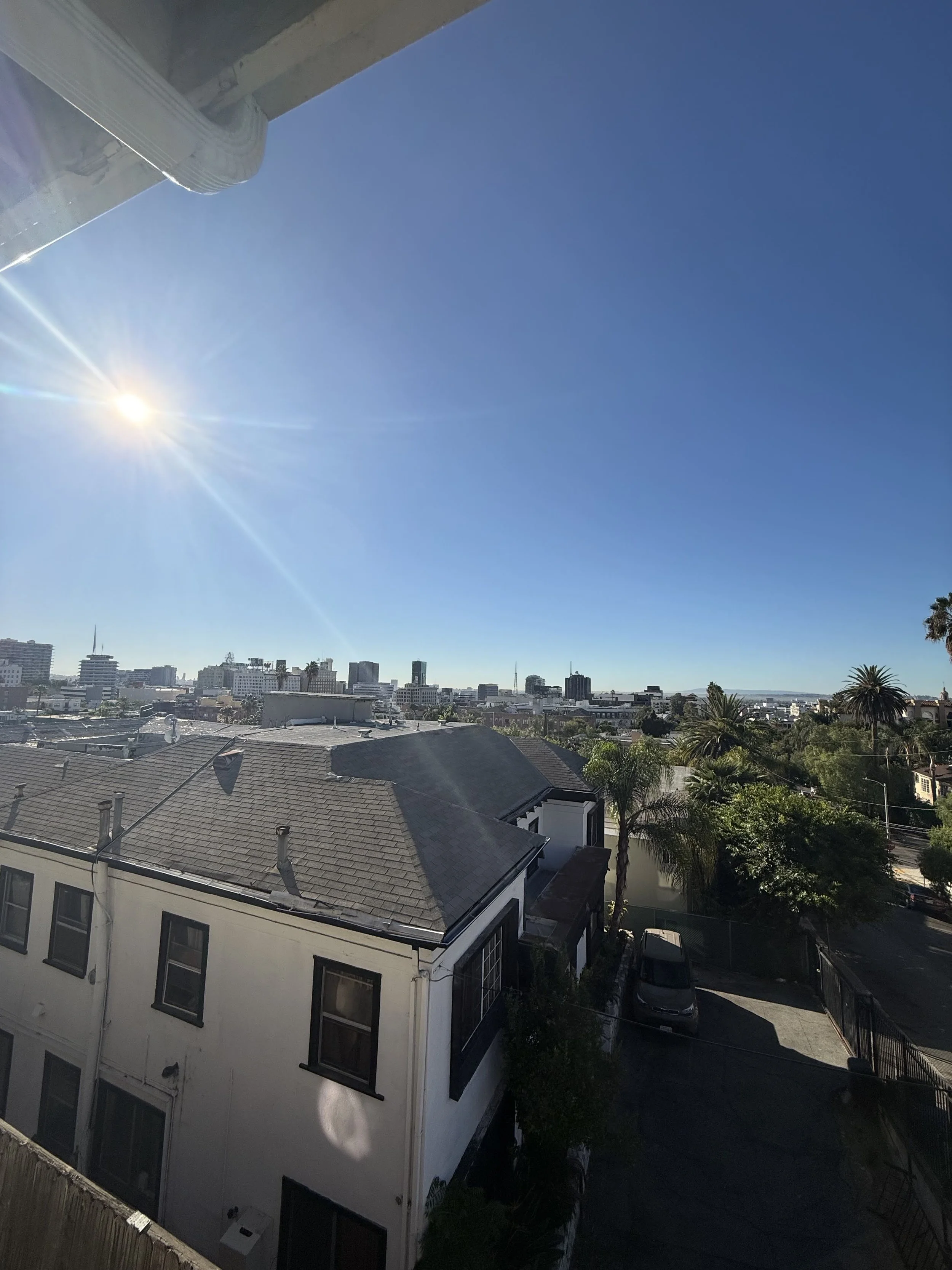 IMG_2251.jpeg