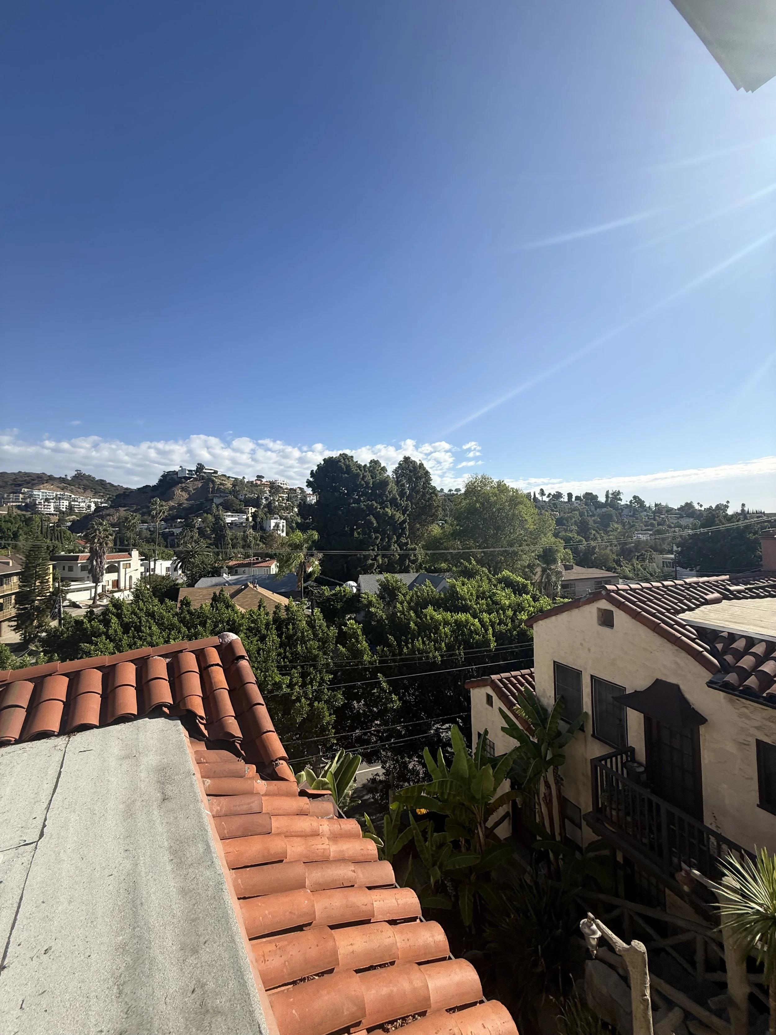 IMG_2351.jpeg