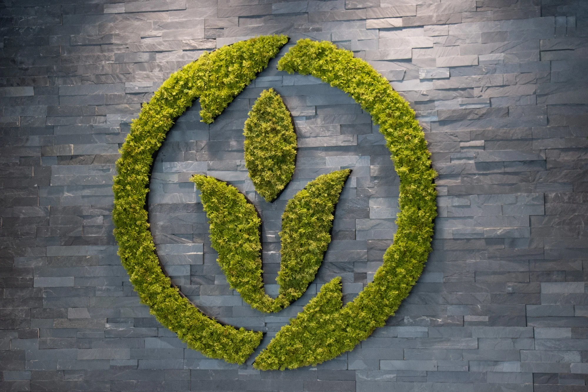 ntr-logo.jpg