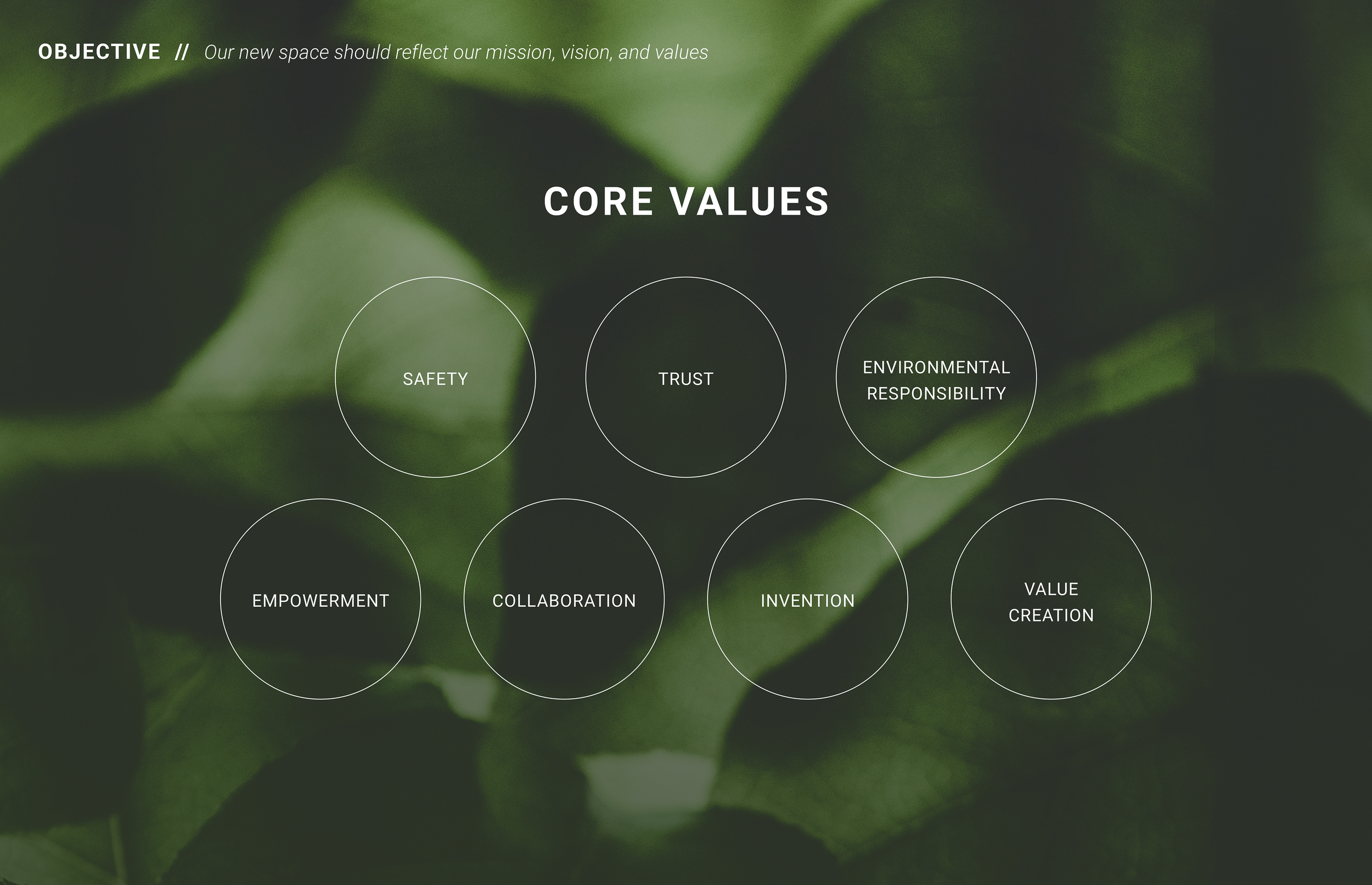 Core-values-2.png