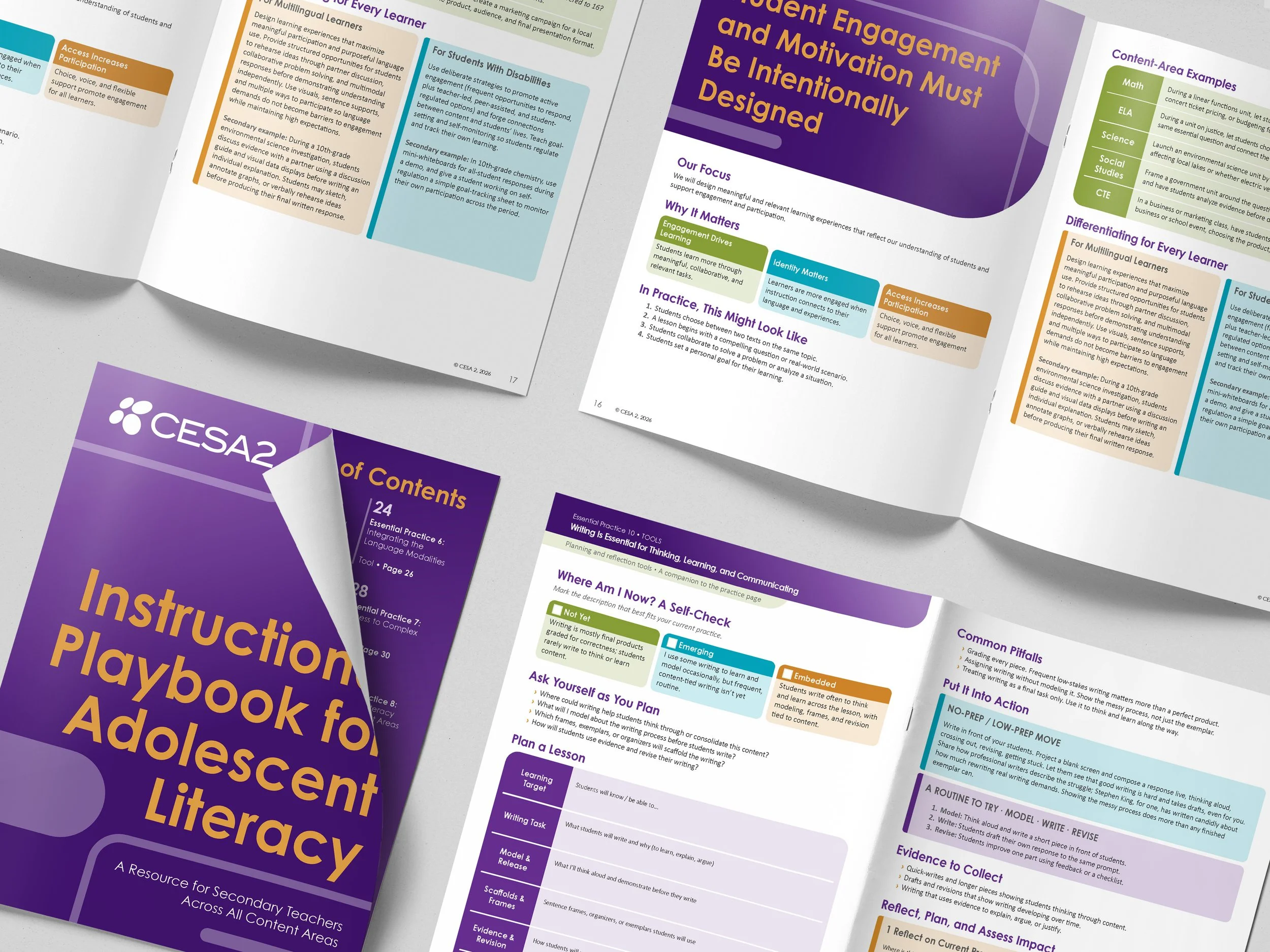 Adolescent Literacy Playbook Mockup 3.jpg