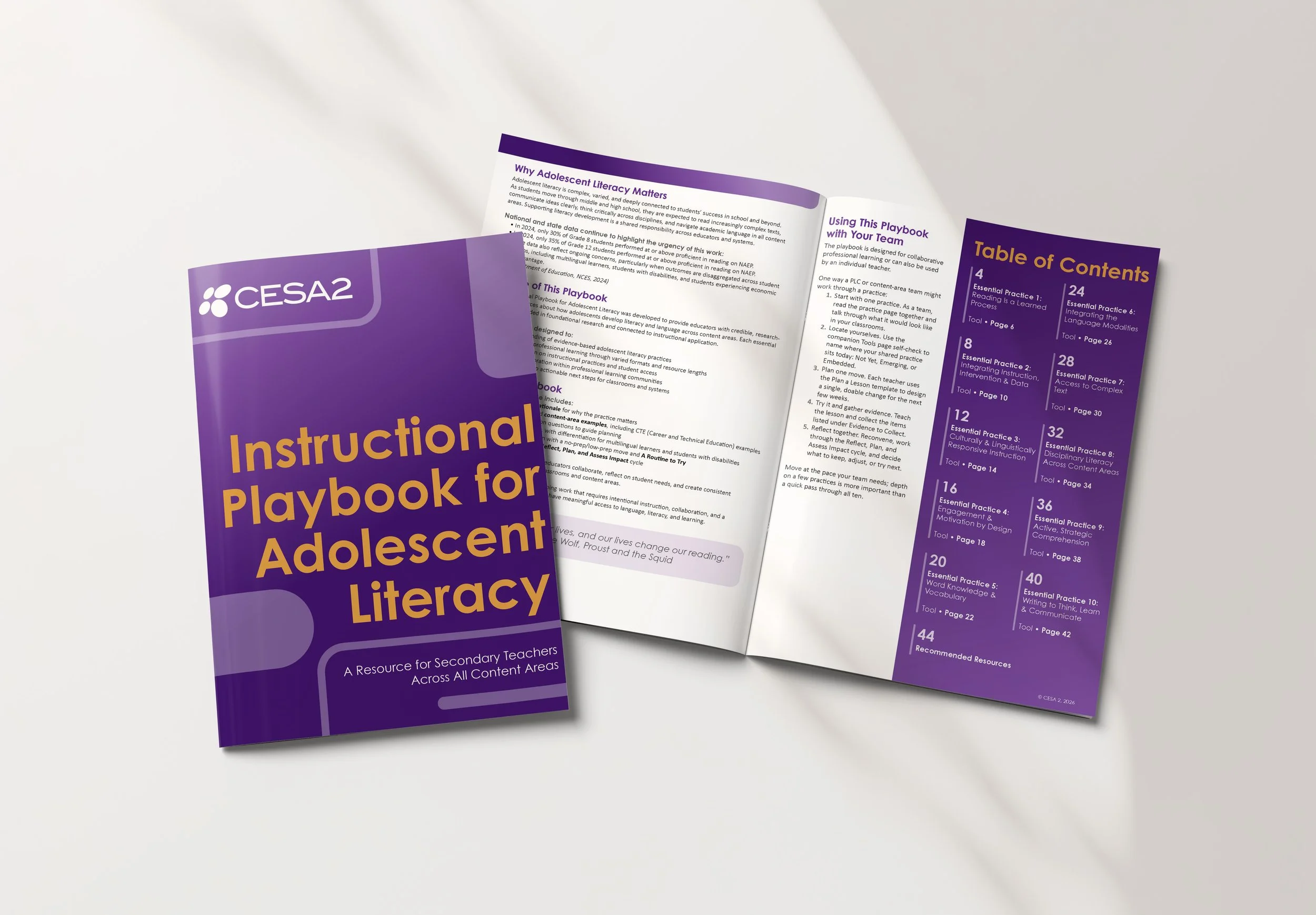 Adolescent Literacy Playbook Mockup 1.jpg