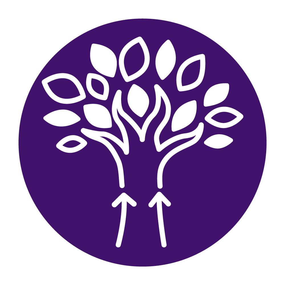 Systems for Inclusive Learning Logo