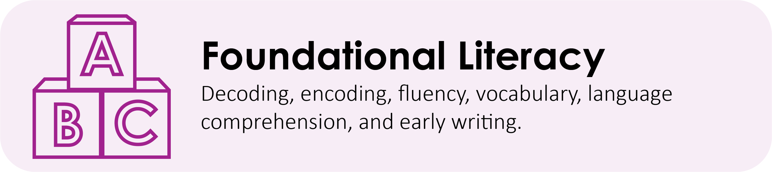 Foundational Literacy: Decoding, encoding, fluency, vocabulary, language comprehension, and early writing.