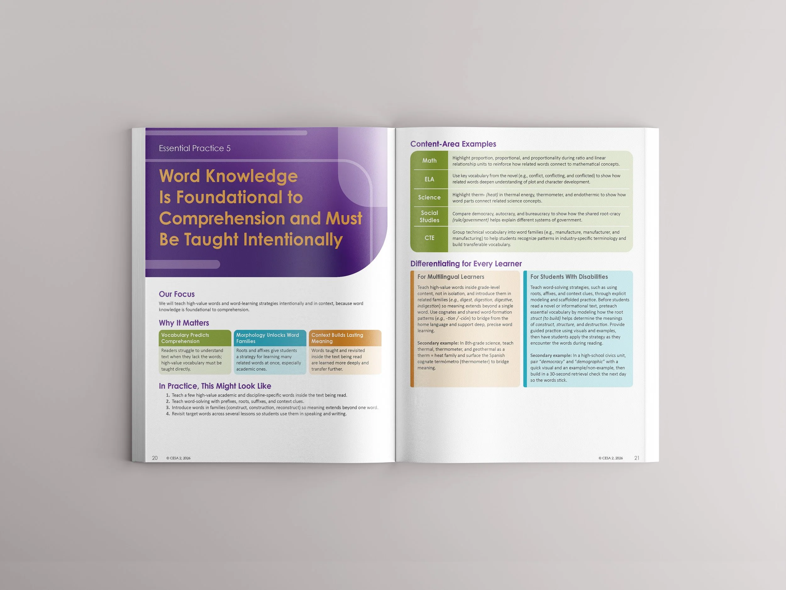 Adolescent Literacy Playbook Mockup 2.jpg