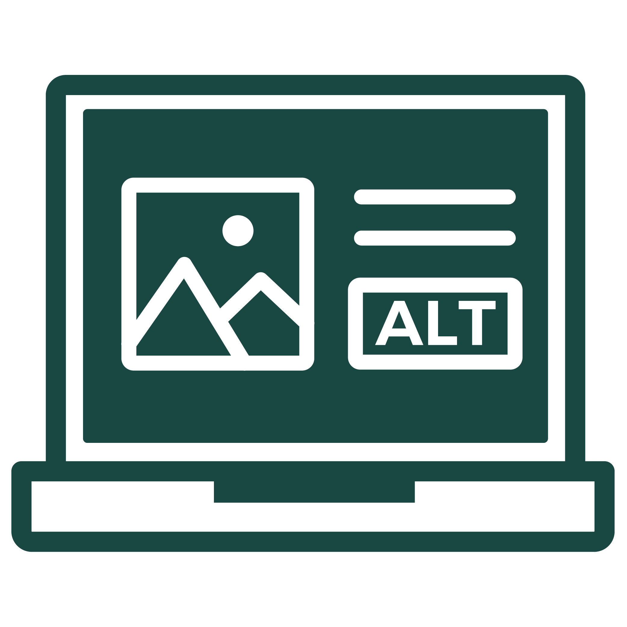 Website optimization icon