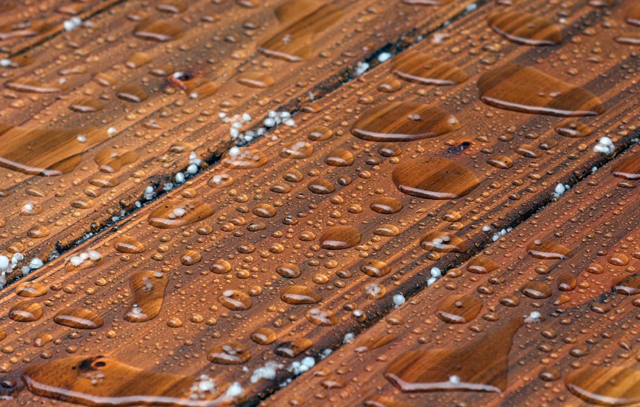 How to Maintain Hardwood Flooring During Vancouver’s Wet Winters
