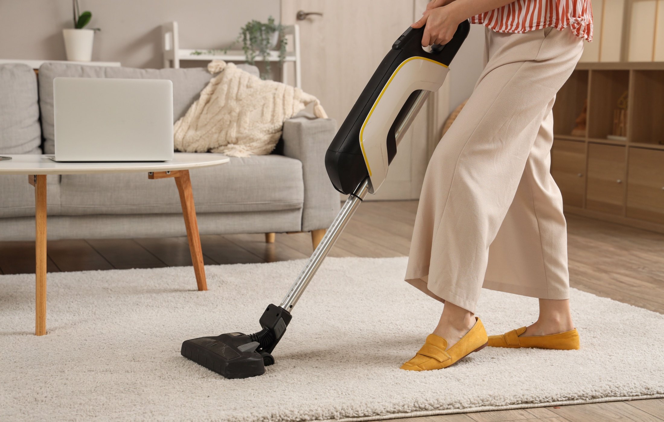 Carpet Maintenance Tips: Keeping Your Floors Fresh Year-Round