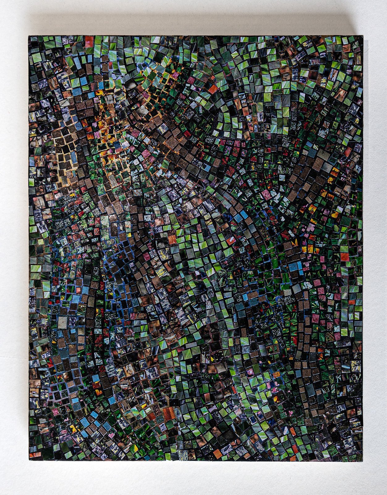 Liz+Colors_Artwork_August+2024_MadisonSeideStudio-02_websize.jpg