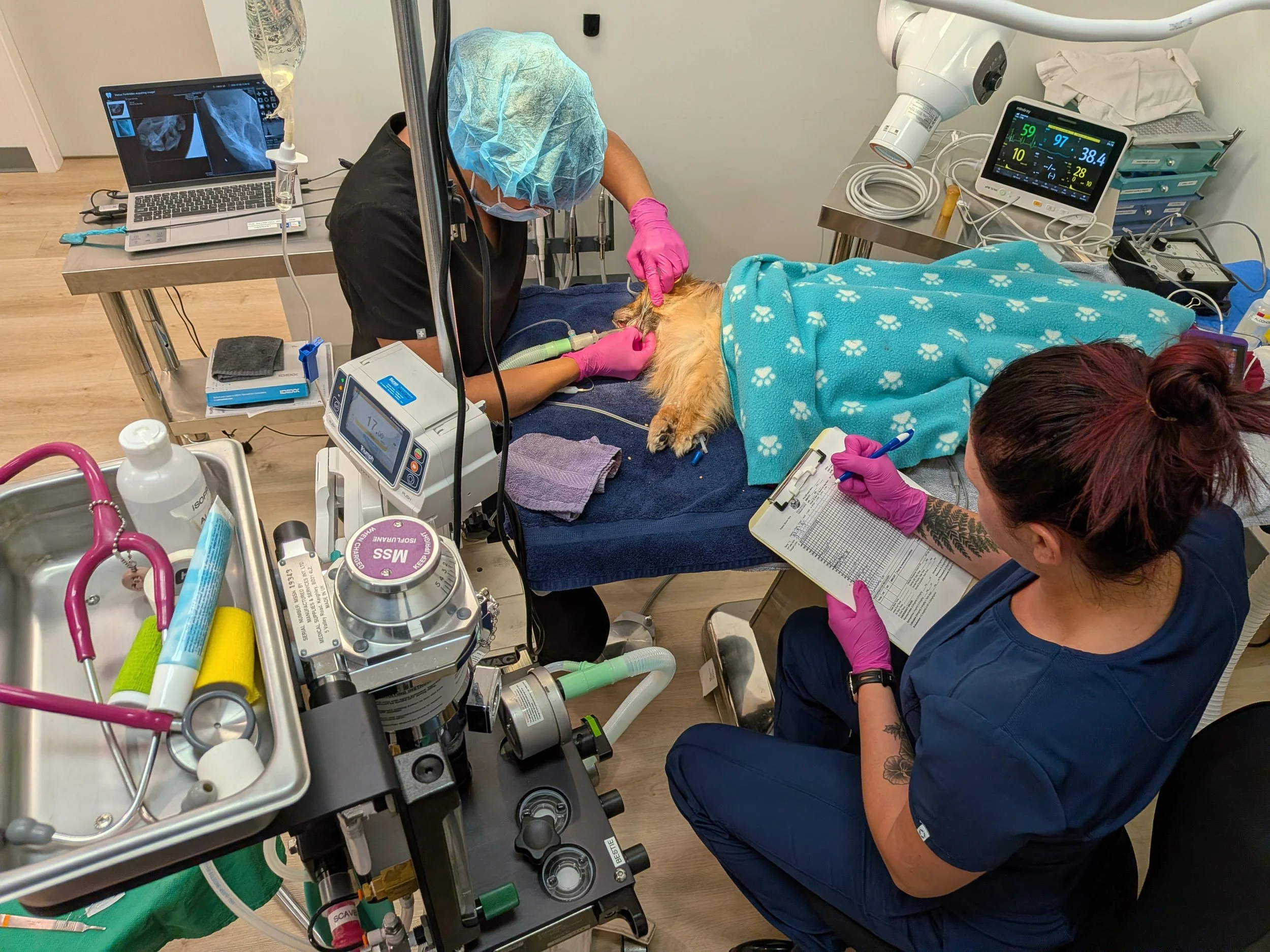 Veterinary Anesthesia 101