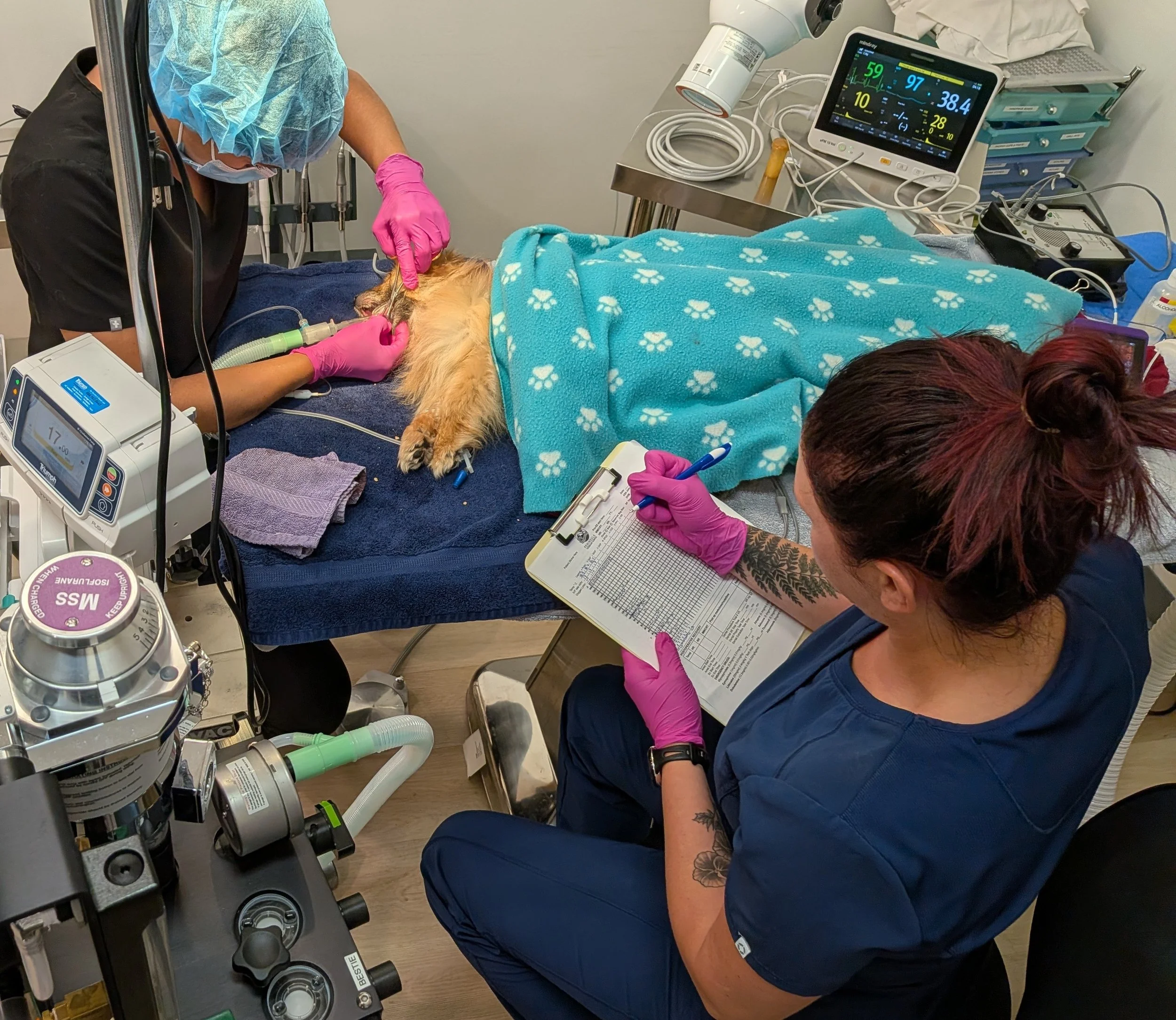 Continuous monitoring under general anesthesia