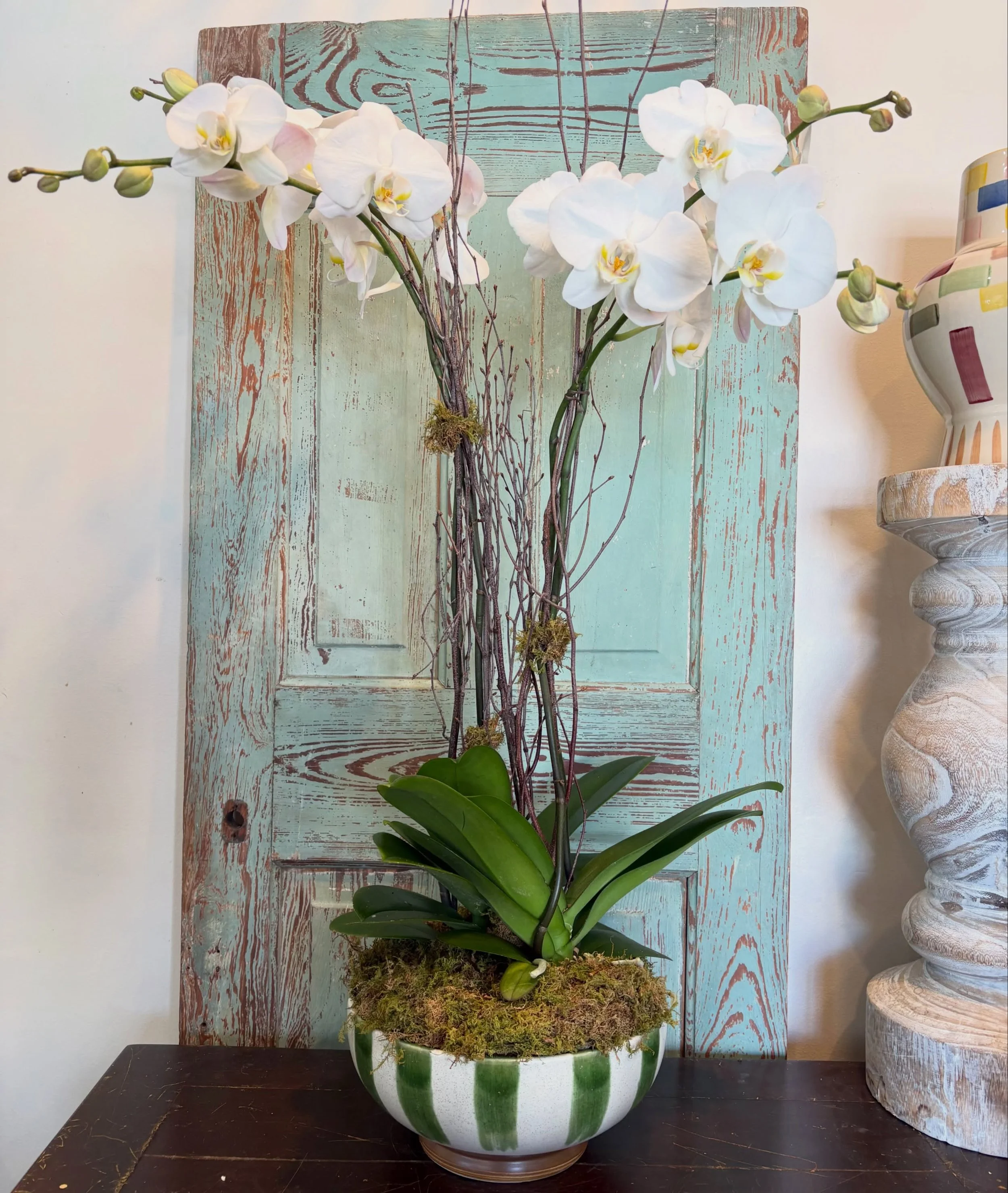 Change it up! Our beautiful orchids are a great, lasting alternative to fresh blooms! 
.
.
.
#jaxbeach #pontevedra #pottedorchids #orchidarrangement #phalenopsis