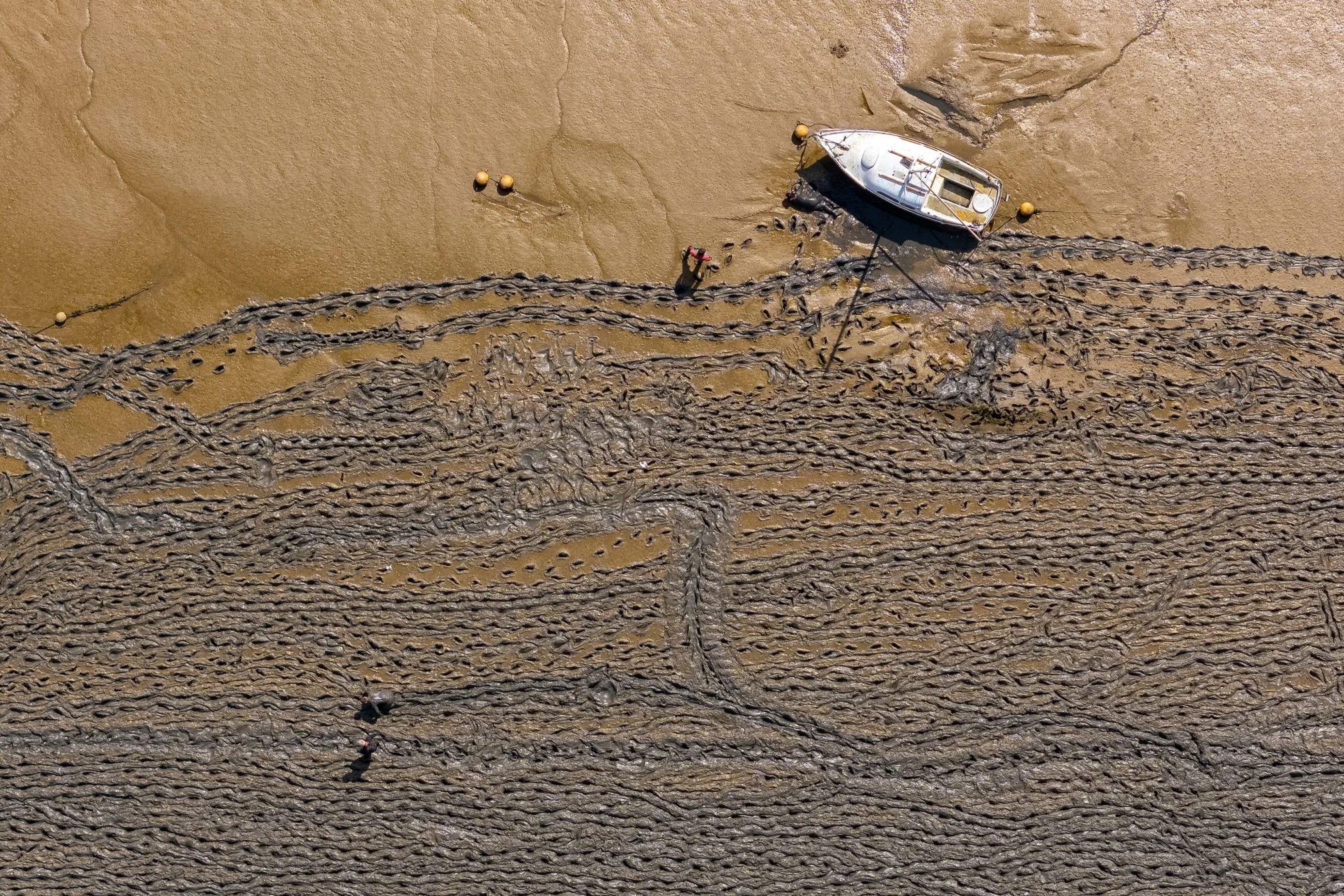 DJI_20240603154655_0031_D_AIR3.jpg