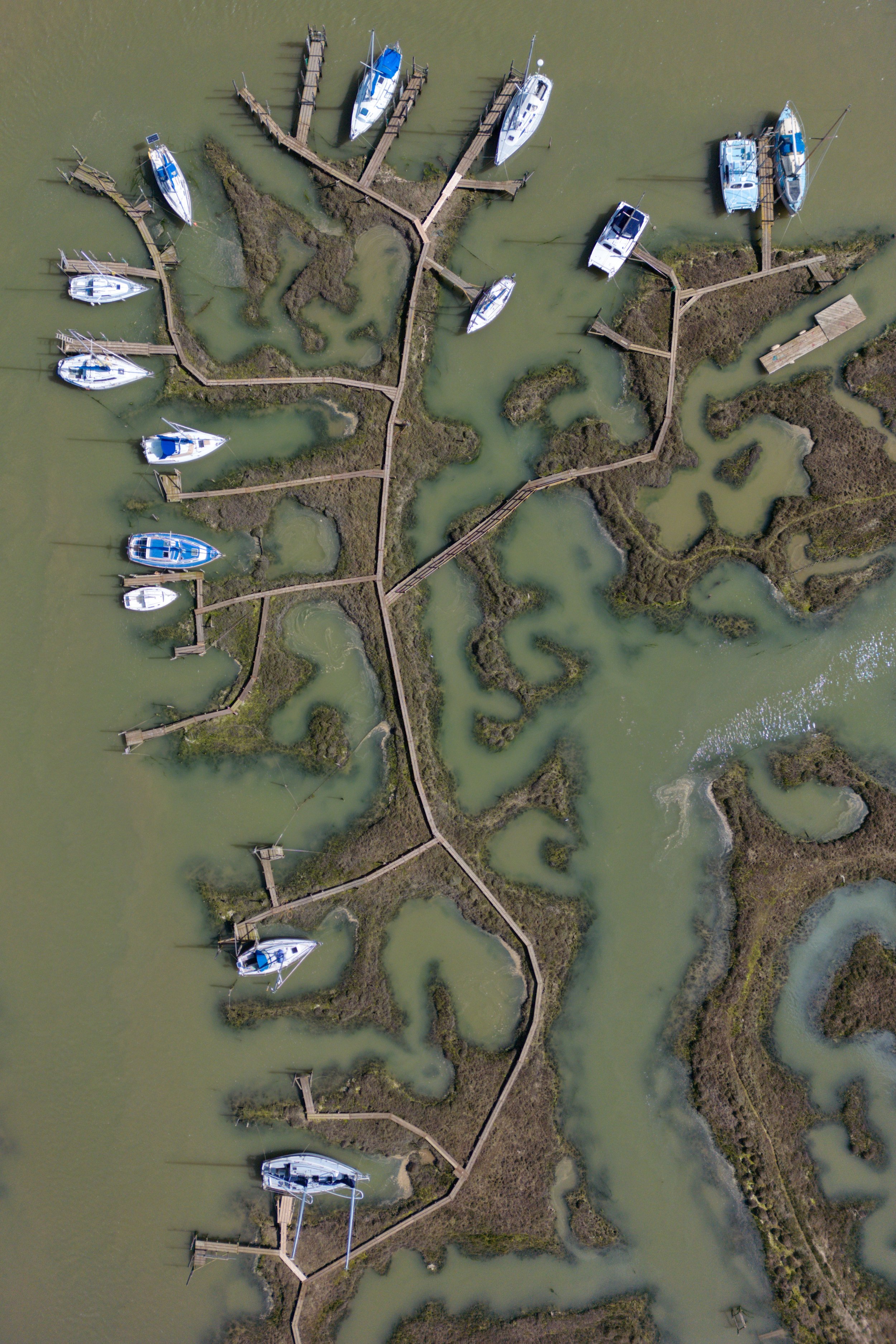 DJI_0087-01.jpeg