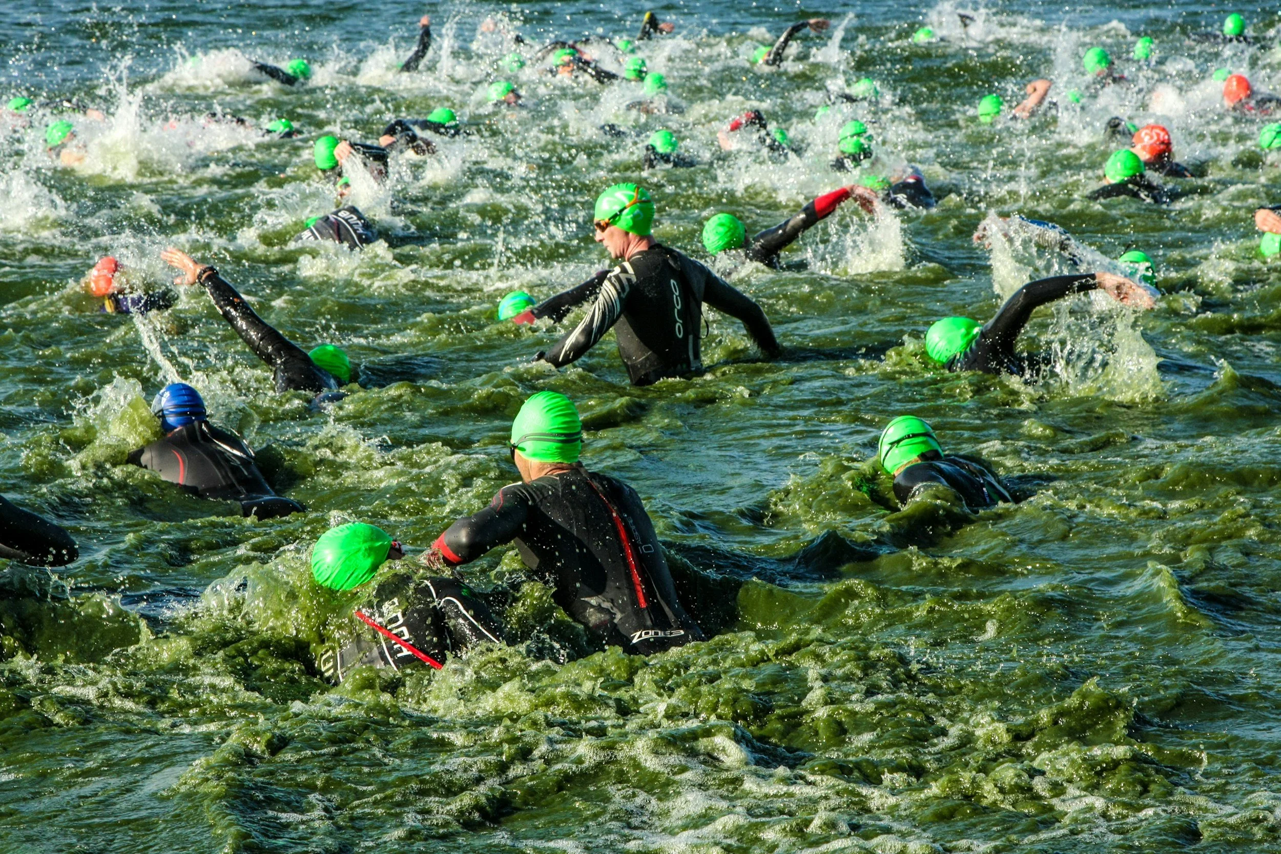 Open Water Competitions