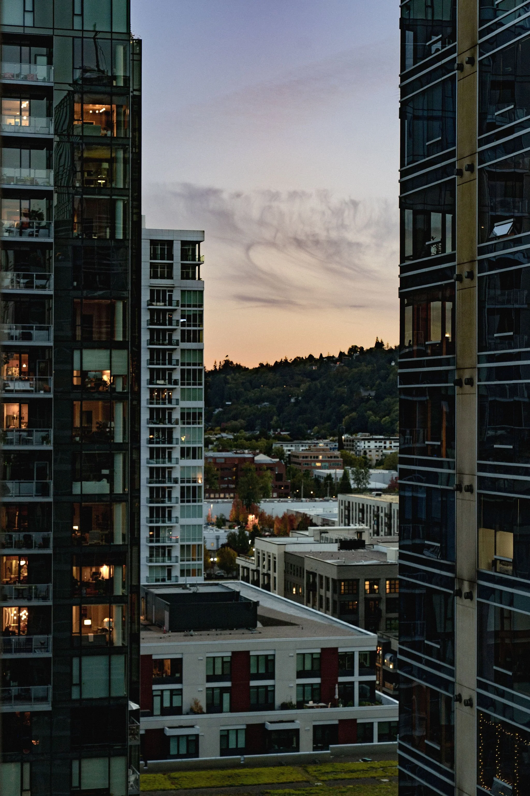 meriwether-condo-south-waterfront-portland34.jpg