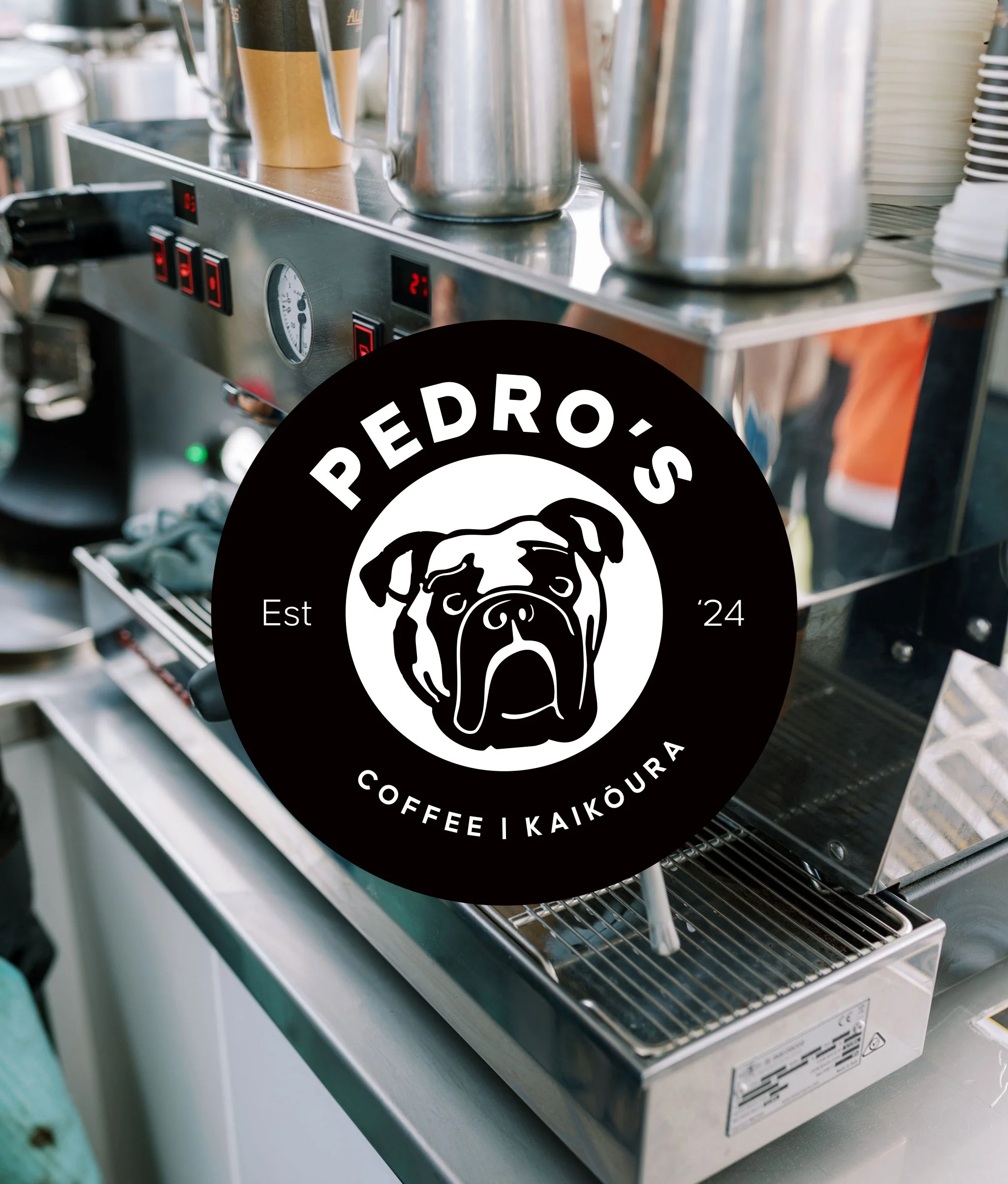 Pedro's-logo.jpg