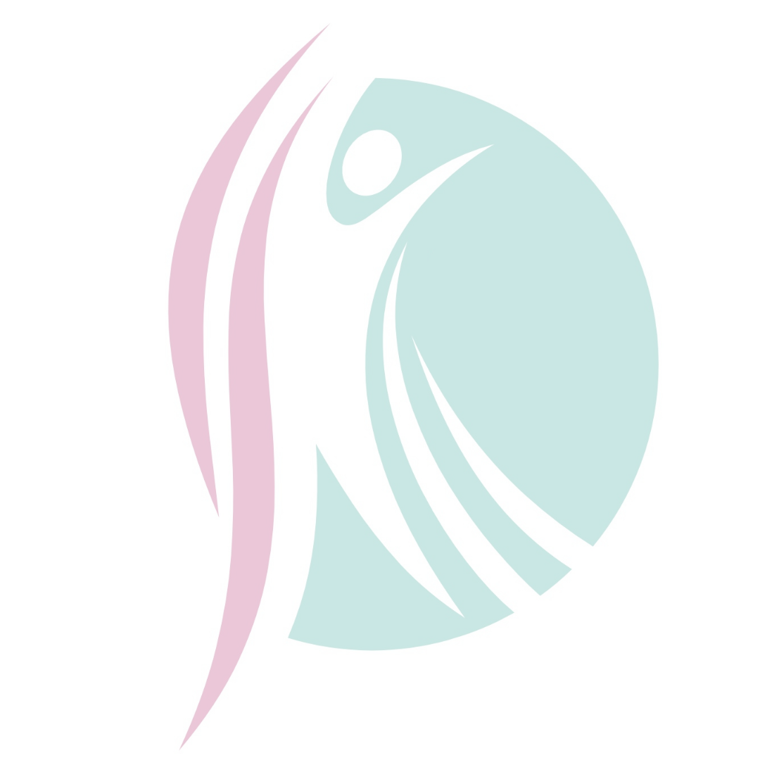 4 Week Pelvic Floor Workshops (contact me for dates)