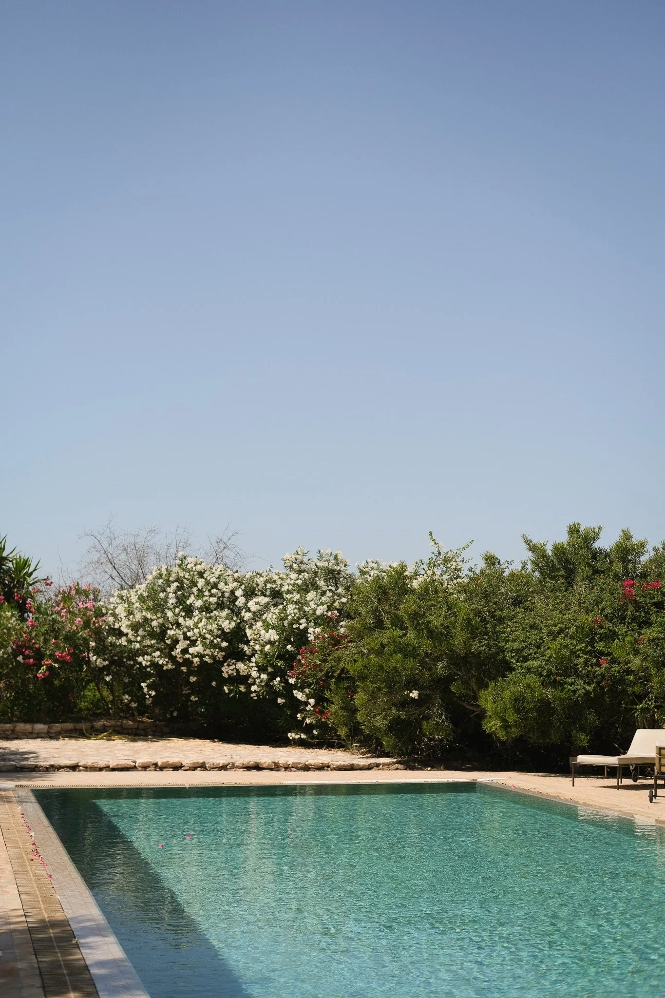 2026_Linger in Morocco_Bryni Balt @bryni_@linger.with_9.jpg (Copy) (Copy)