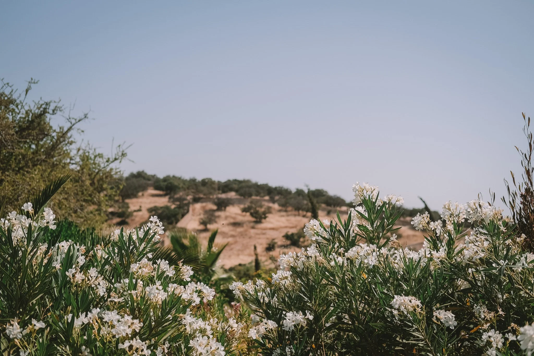 2026_Linger in Morocco_Bryni Balt @bryni_@linger.with_31.jpg (Copy) (Copy)