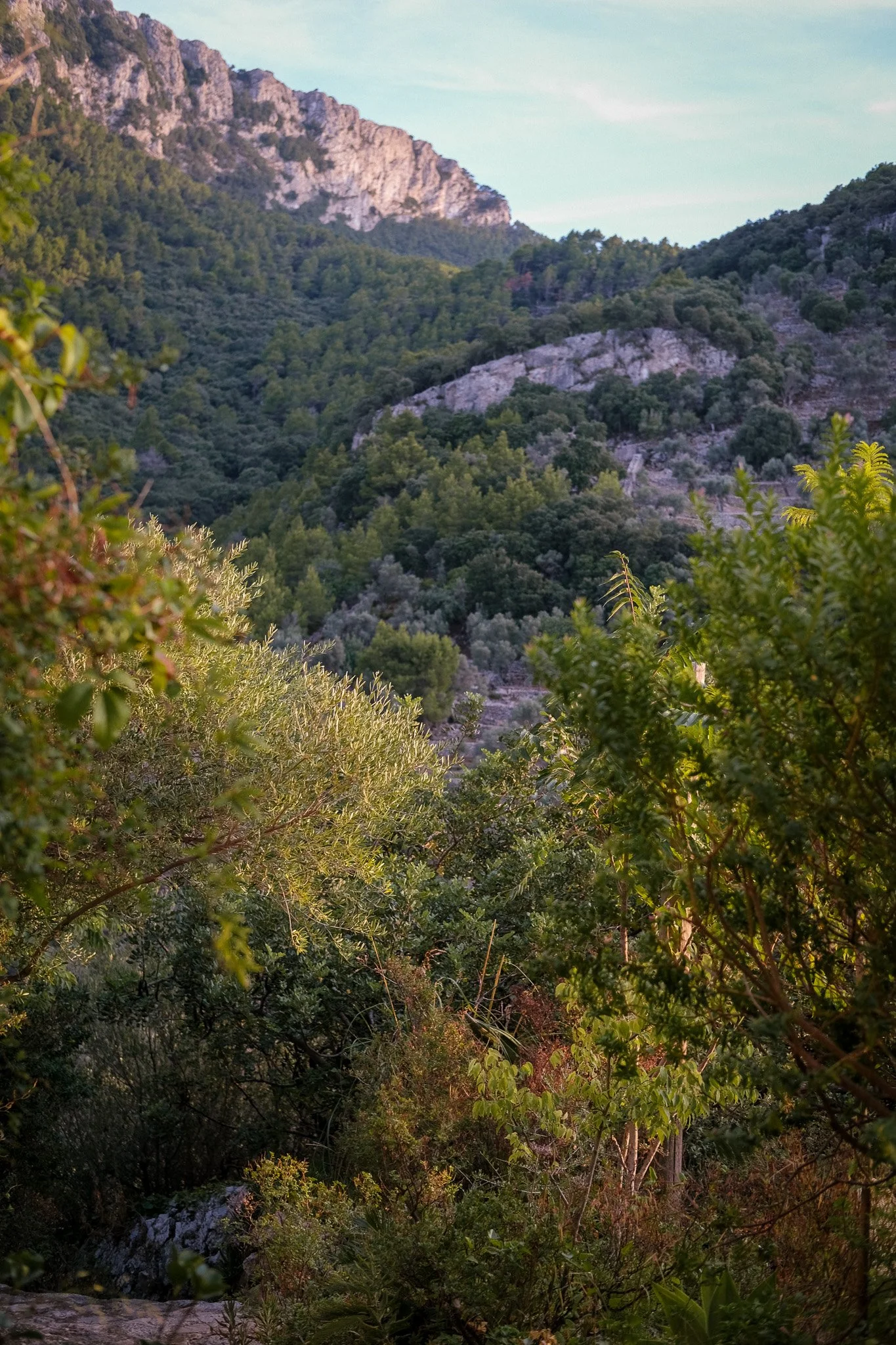 Linger in Mallorca_2025_Bryni Balt_6.jpg
