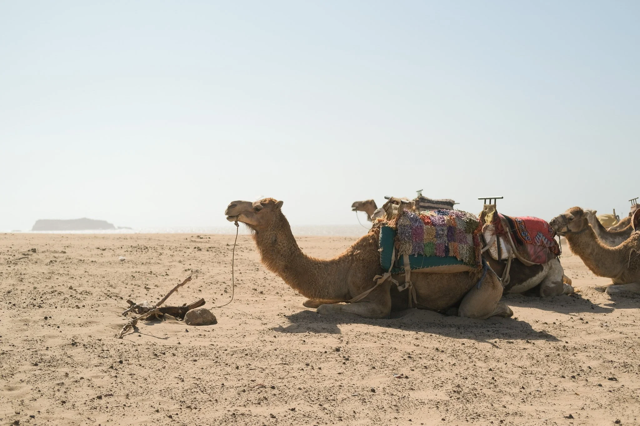 2026_Linger in Morocco_Bryni Balt @bryni_@linger.with_33.jpg (Copy) (Copy)