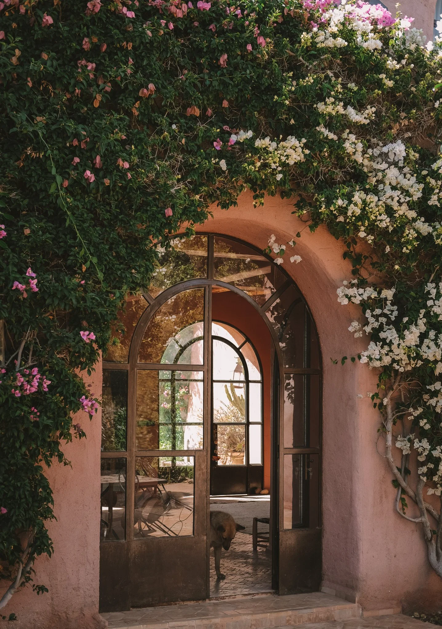 2026_Linger in Morocco_Bryni Balt @bryni_@linger.with_13.jpg (Copy) (Copy)