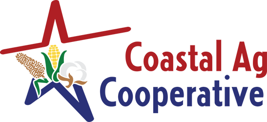 Colorful logo with abstract shapes and text.