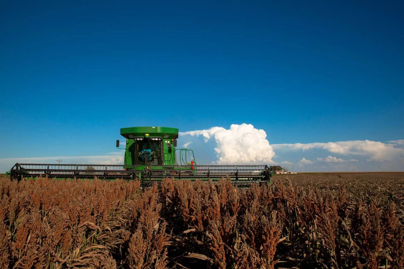 Green combine harvester working in a vast field of mature crops under a blue sky with white clouds.