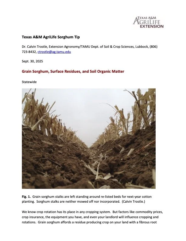Photograph of soil in a field with leftover stalks on either side, taken from the ground level looking down a row of re-lifted beds for cotton planting.