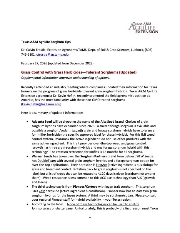 Document titled "Texas A&M AgriLife Sorghum Tips" discussing grass control with grass herbicides and tolerant sorghums, dated February 27, 2026.