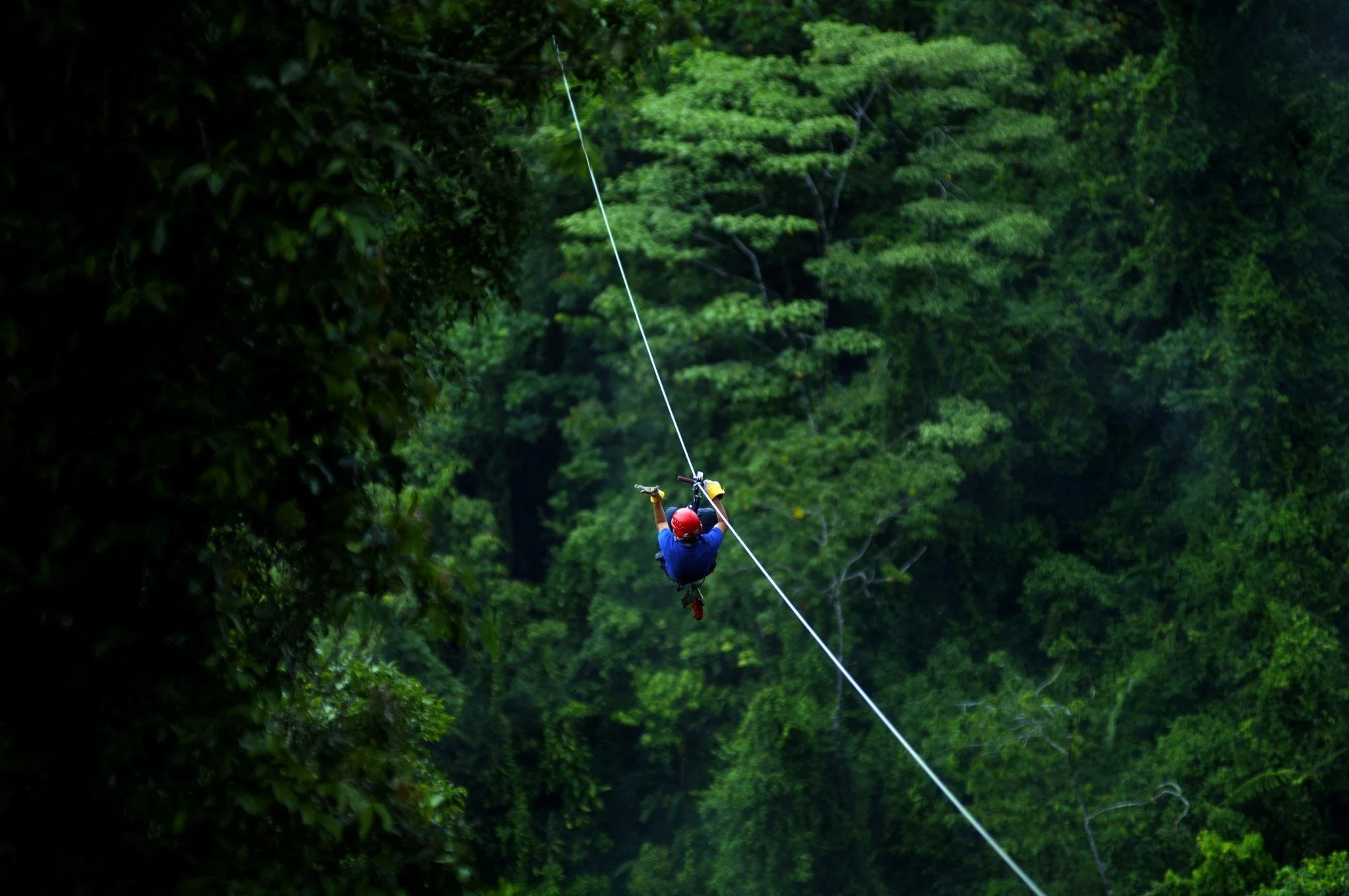 zipline2.jpeg