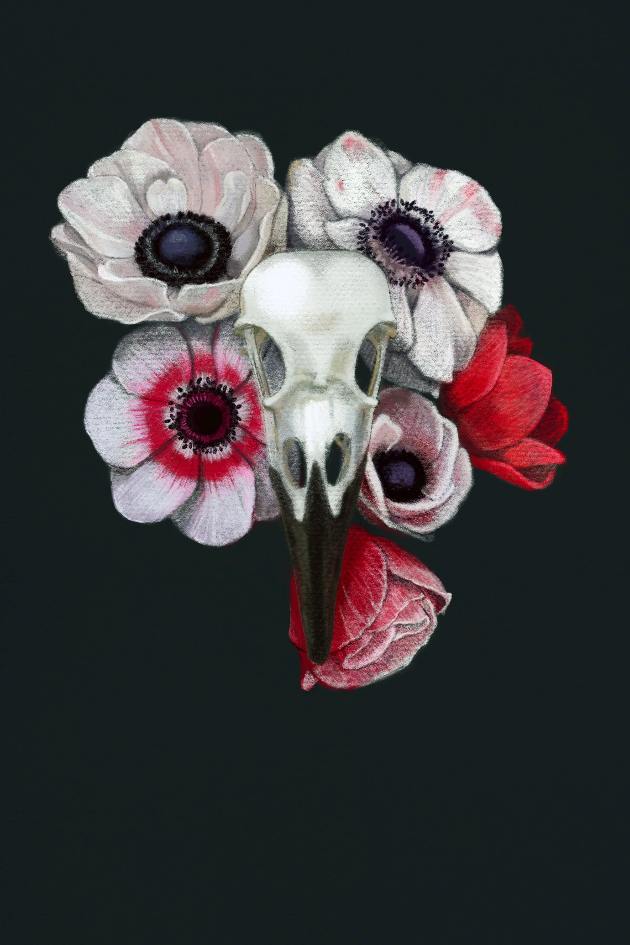 Crow_And_AnemoneR.jpg