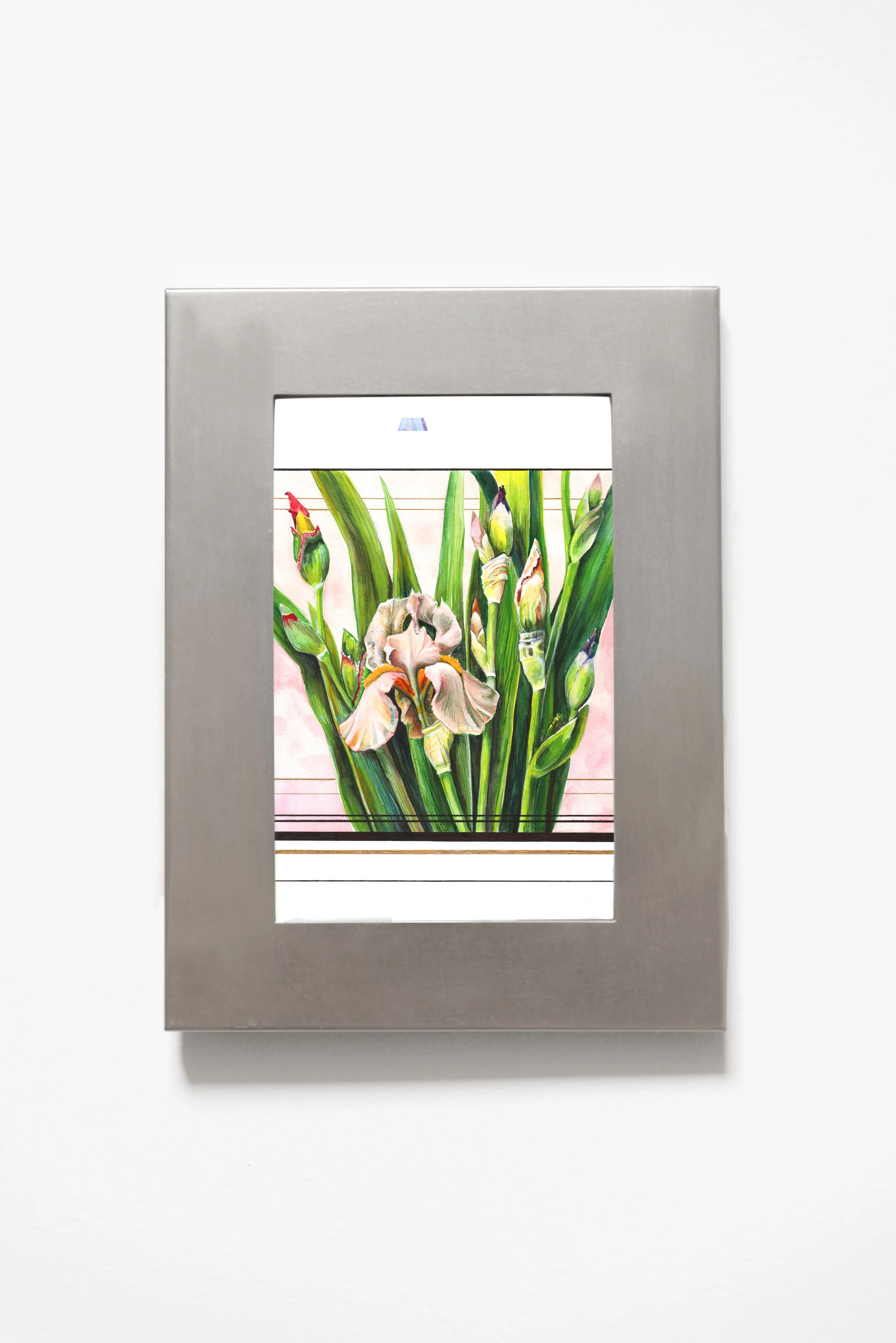 SilverFrameBright3IrisGroup copy.jpg