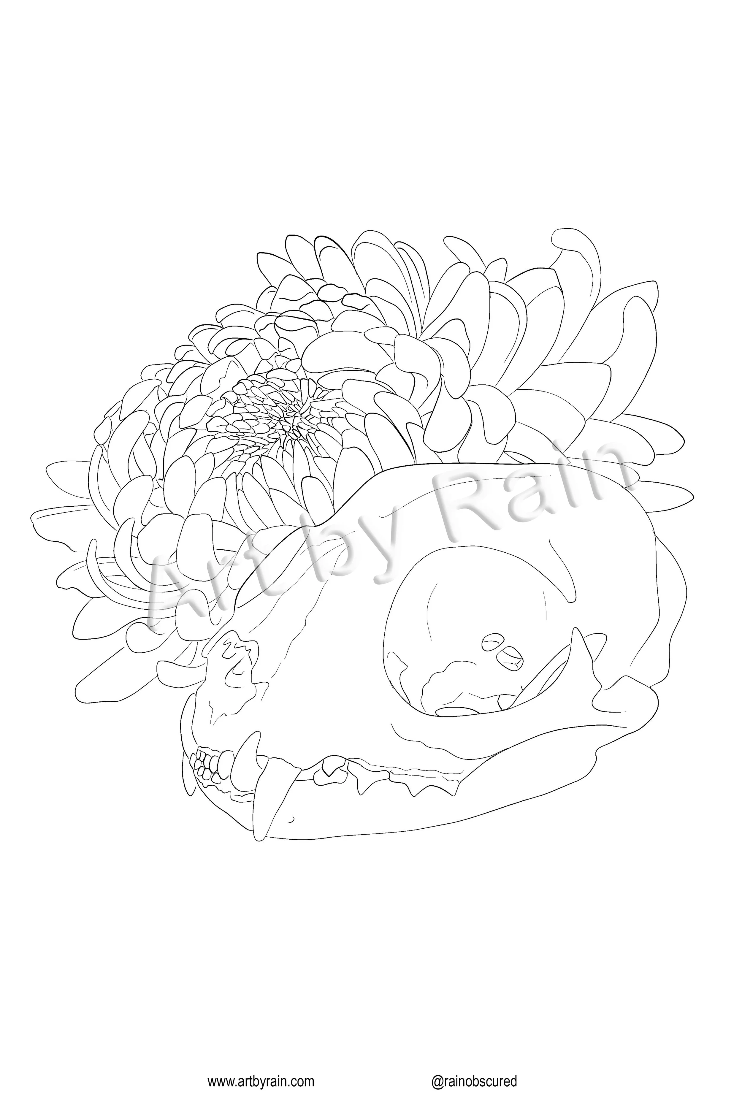 Cat_And_Chrysanthemum_ColorPageWM copy.jpg