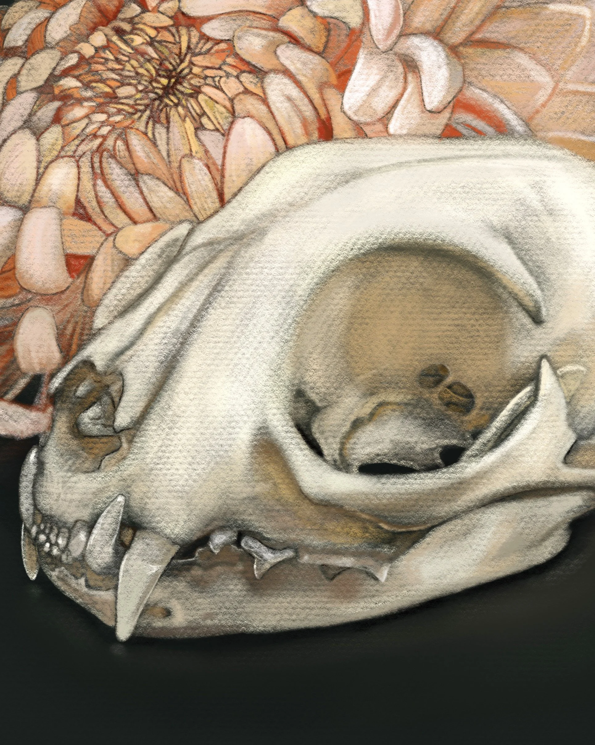 Cat_And_ChrysanthemumRIG04.jpg