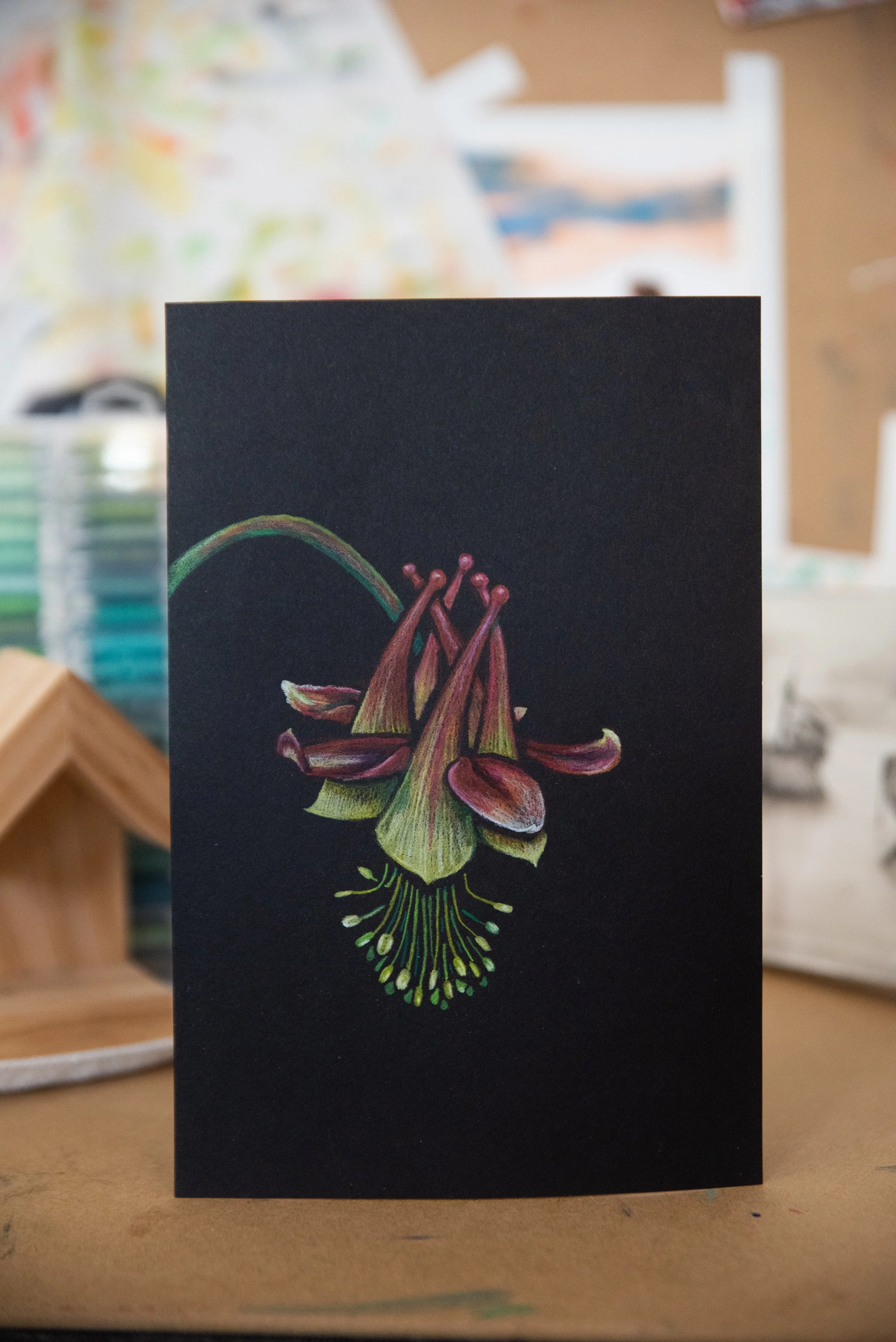 Columbine Flower Illustration