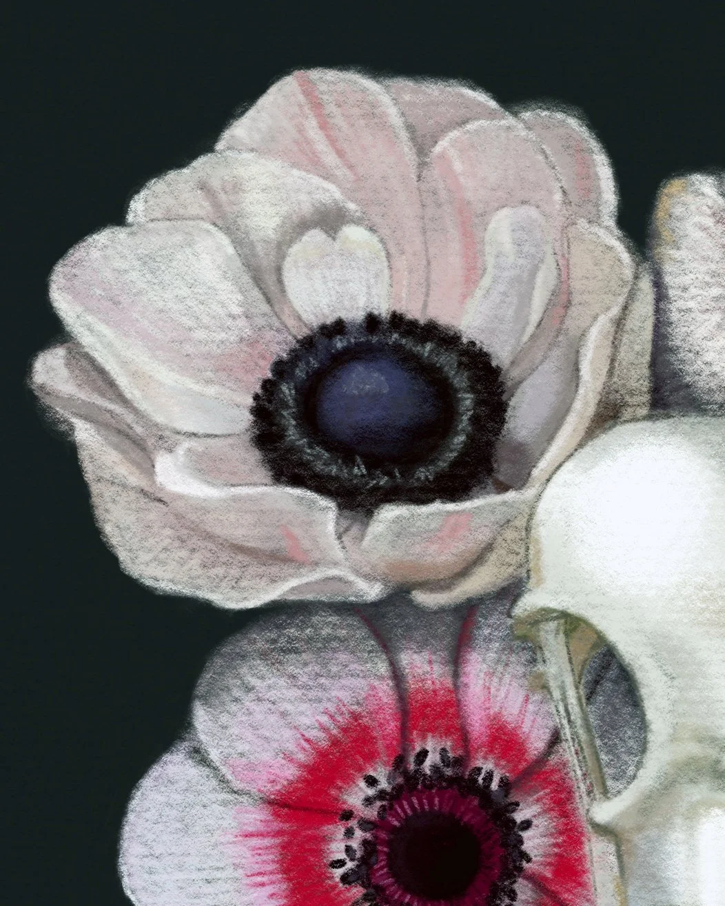 Crow_And_AnemoneRIG03.jpg