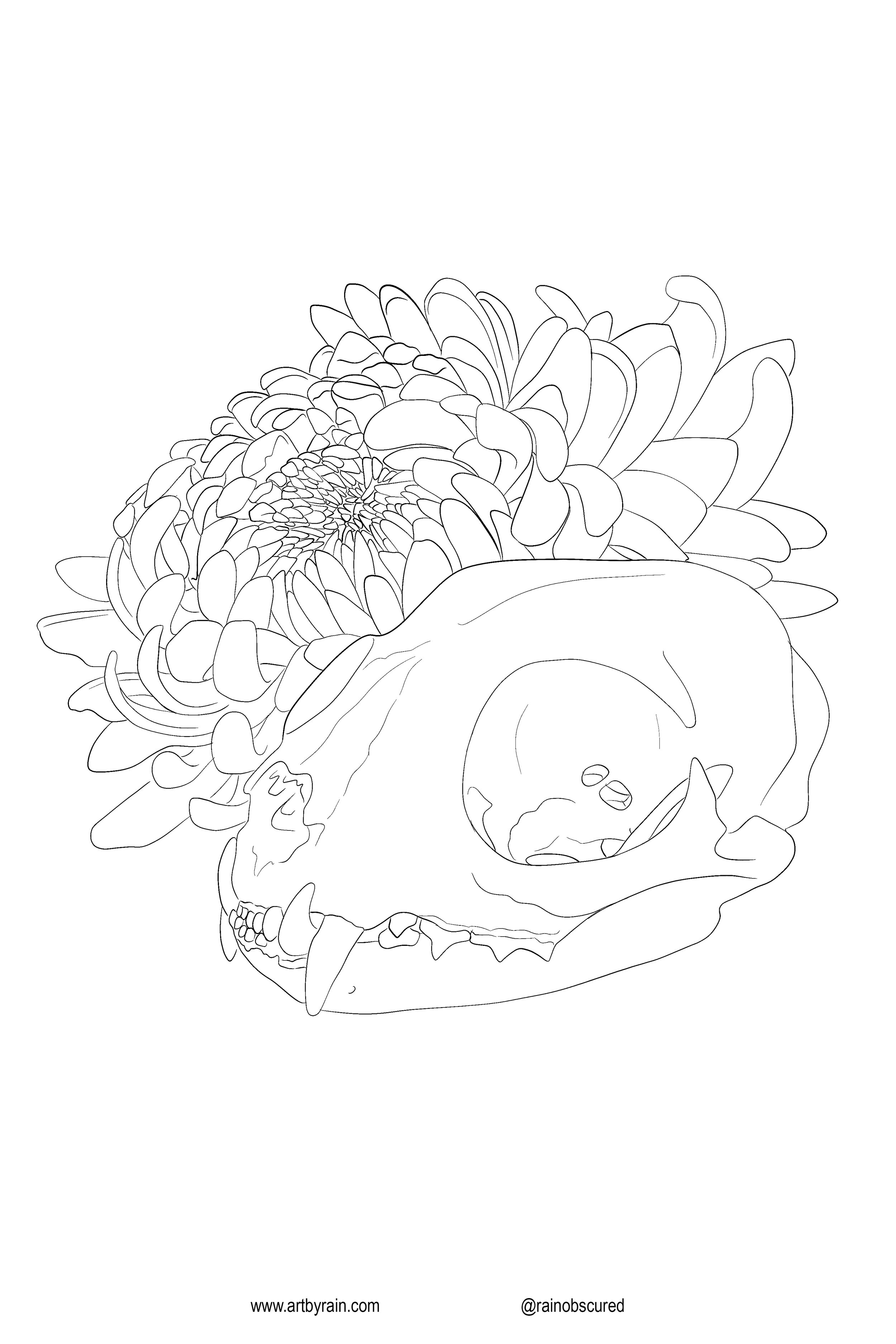 Cat_And_Chrysanthemum_ColorPage.jpg