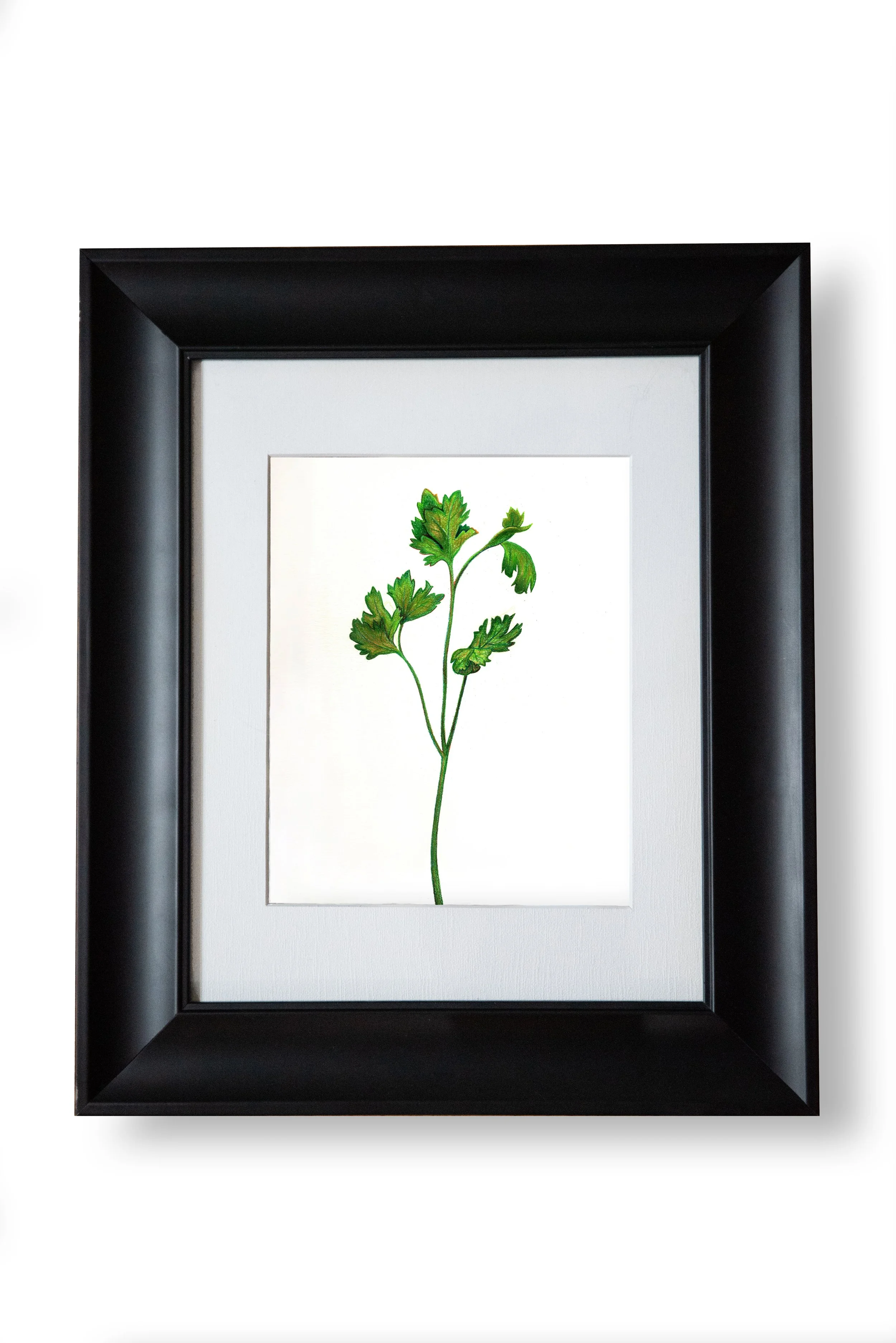 BlkFrameParsleySM.jpg