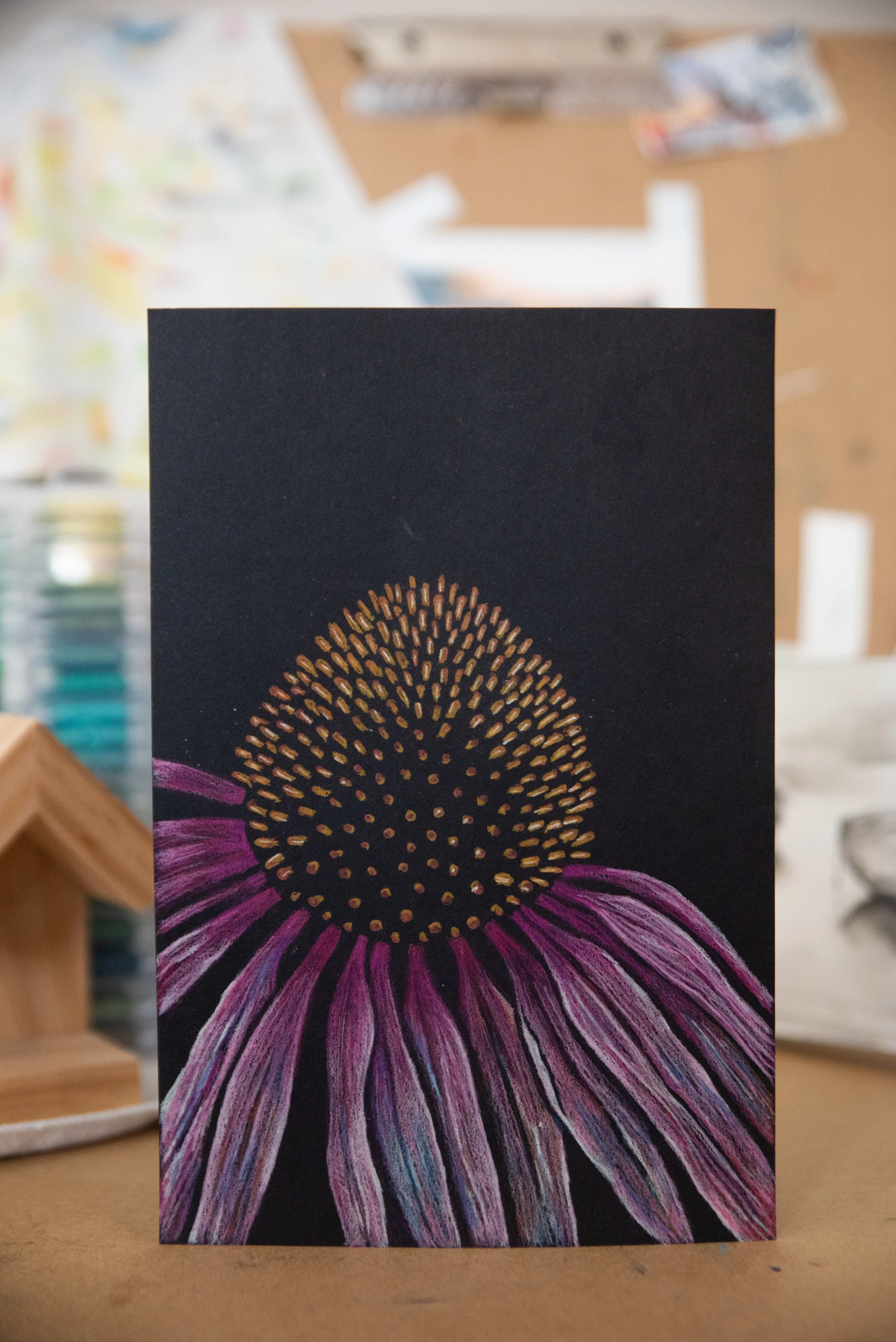 Coneflower Illustration