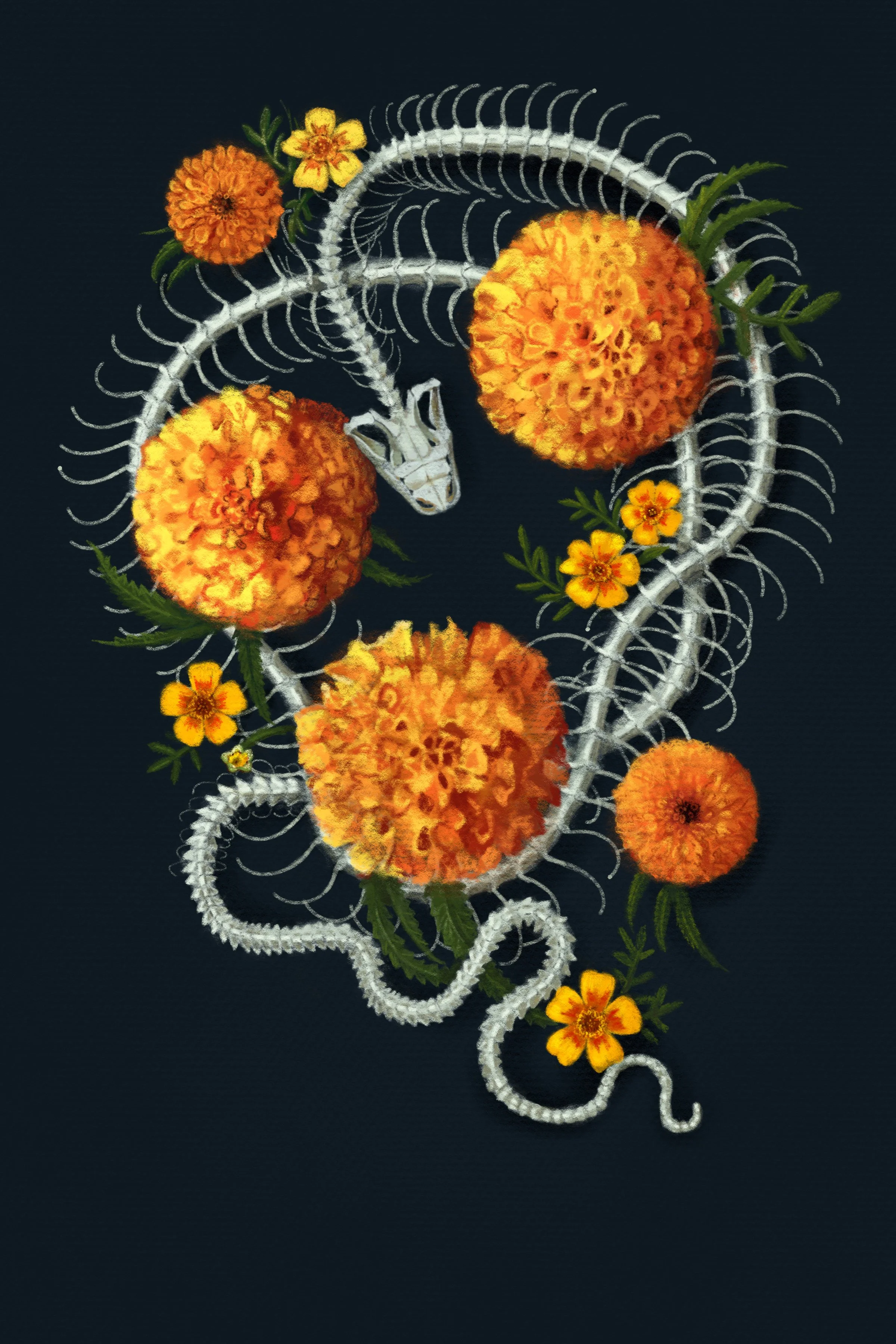 Snek_And_MarigoldR.jpg