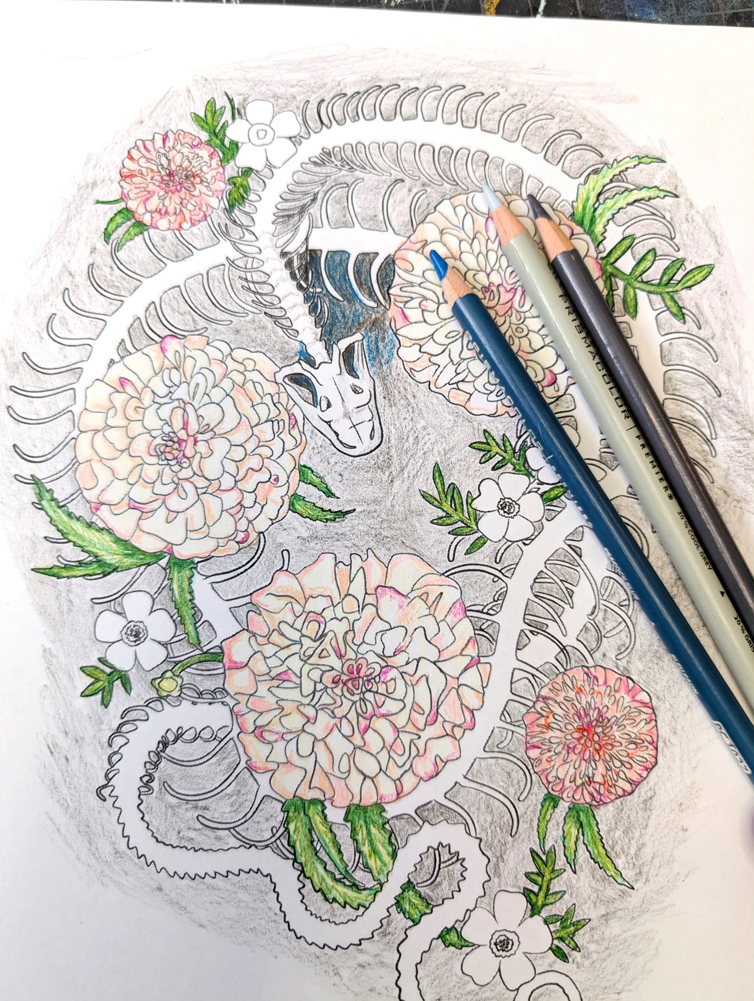 Floral/Skull Coloring Pages